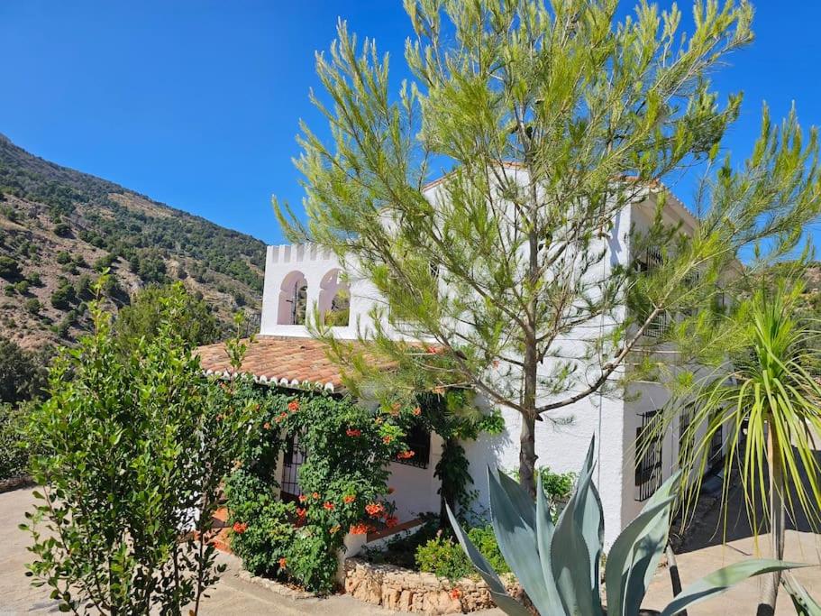 Villa Finca el Carril