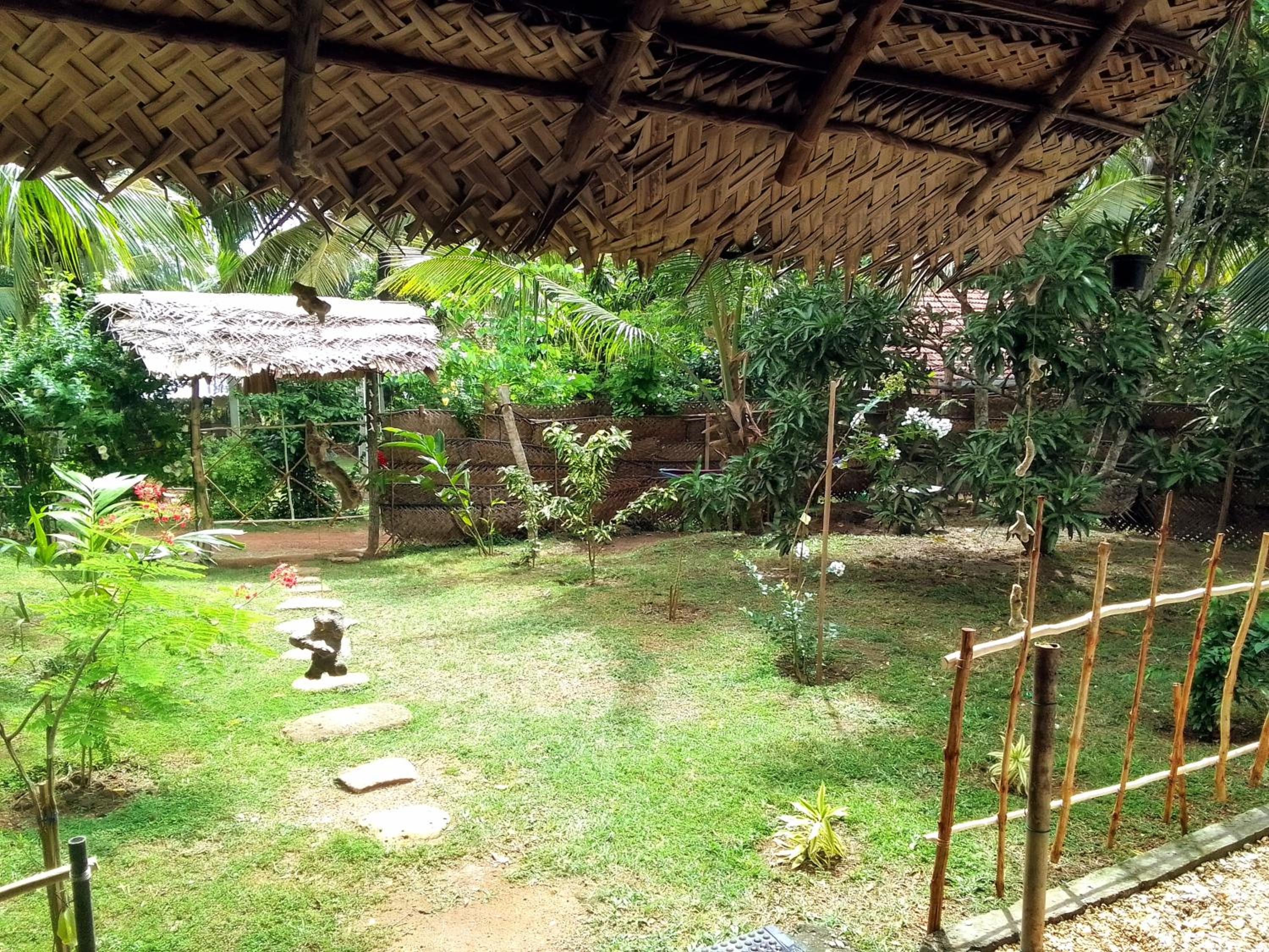 Photo 20