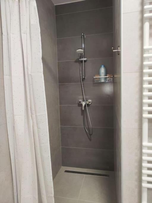 Apartman Branka