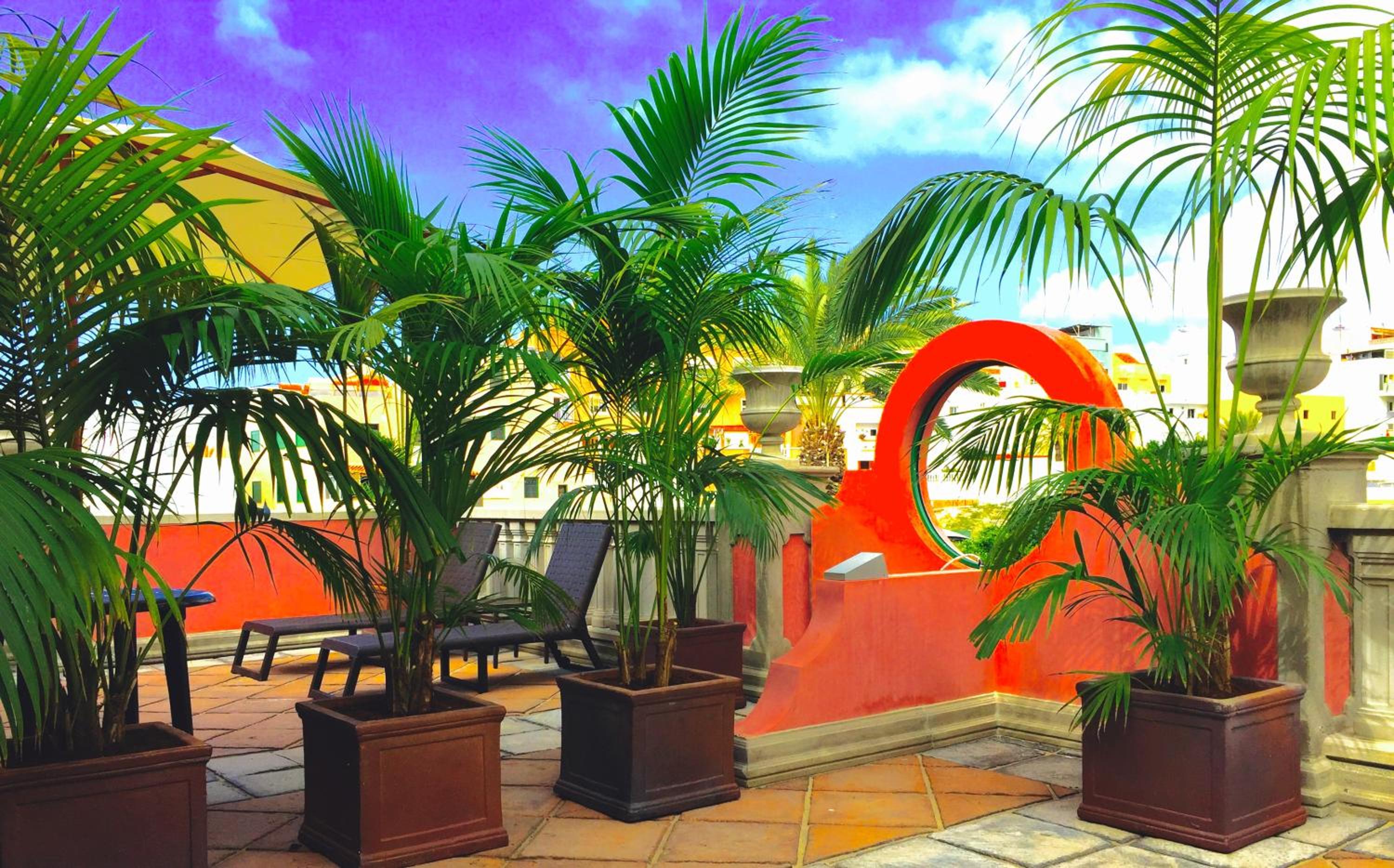 Rok Plaza