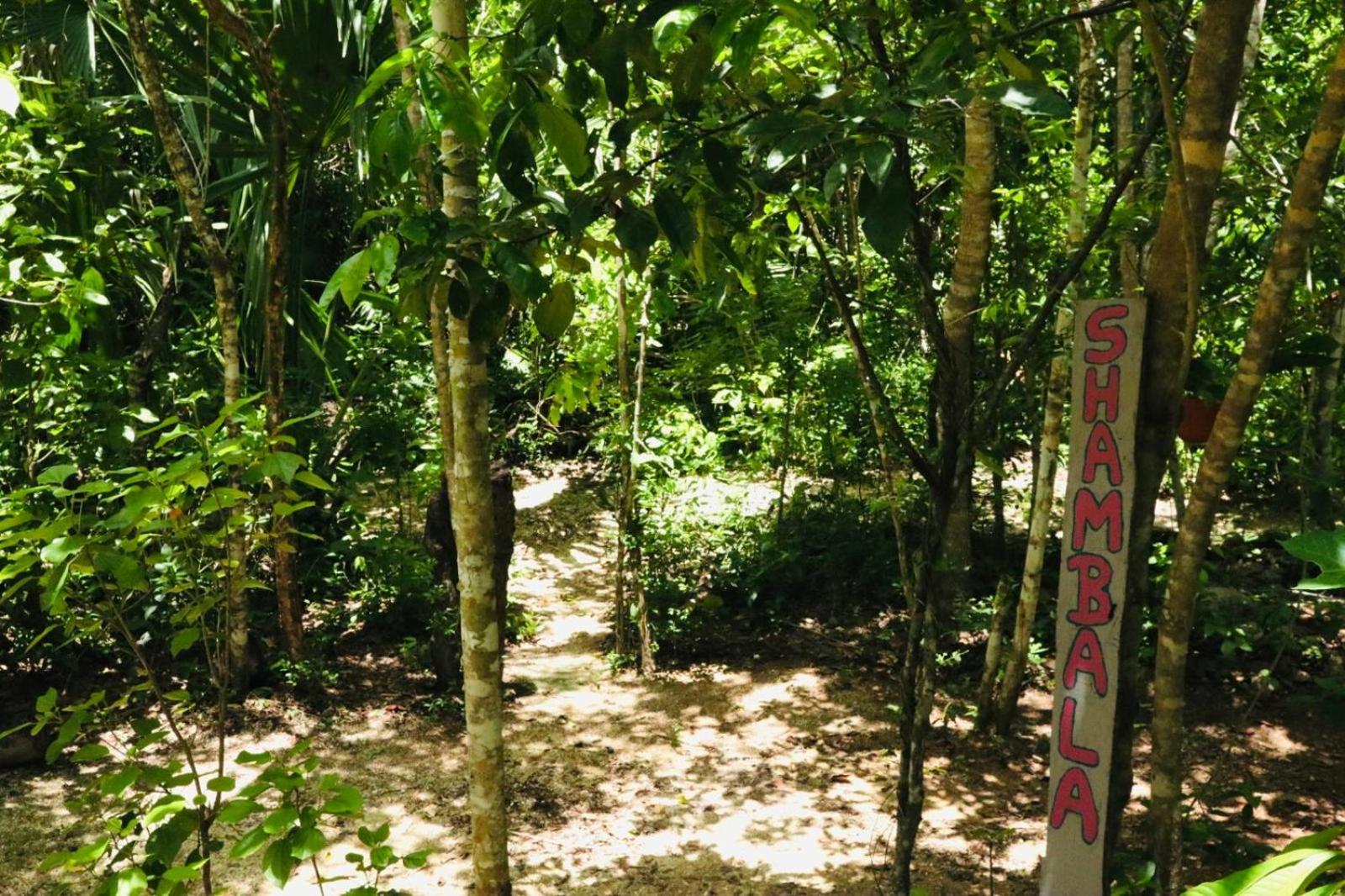 Shambala Camping & Wellness