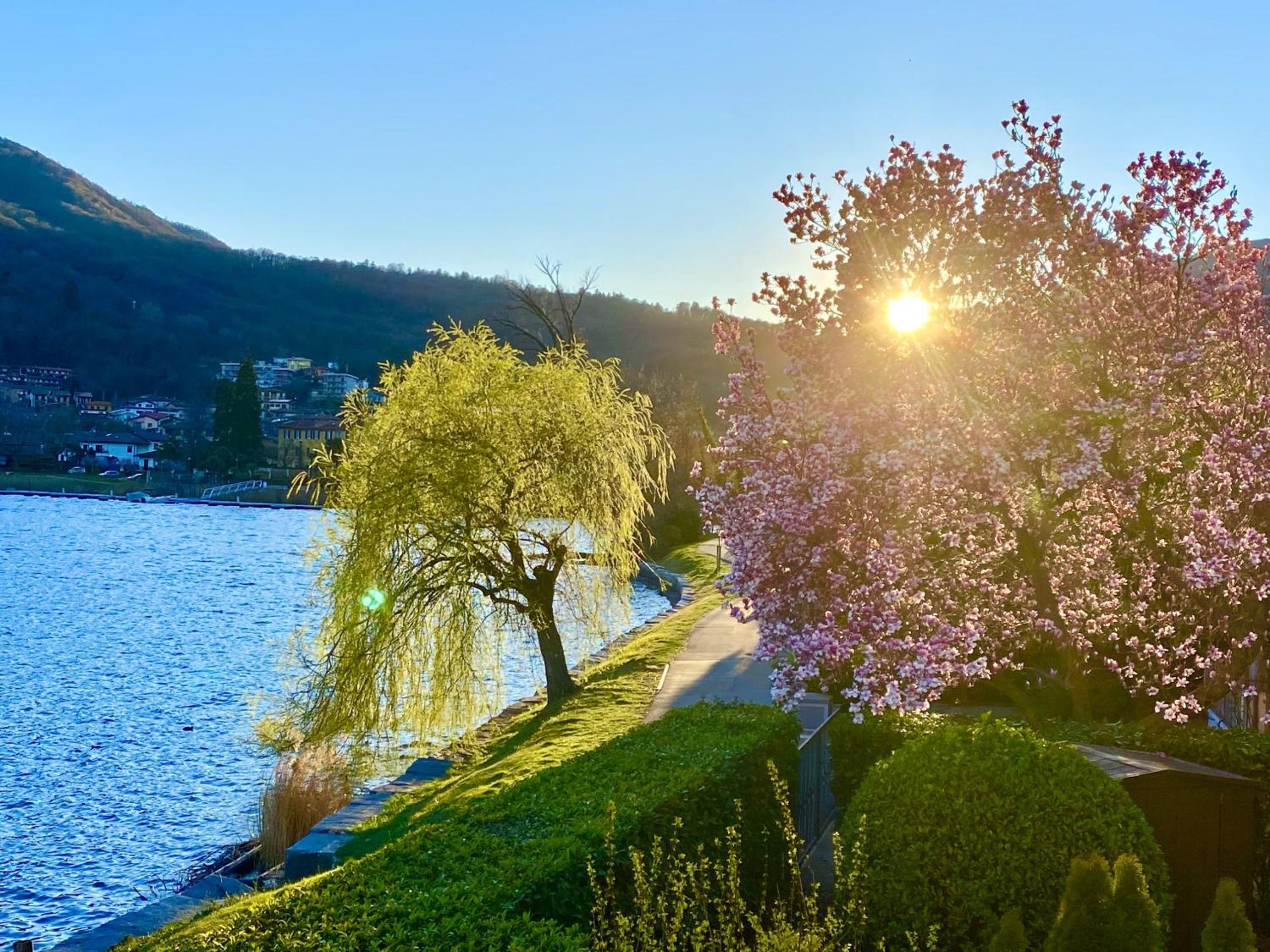The Lake House