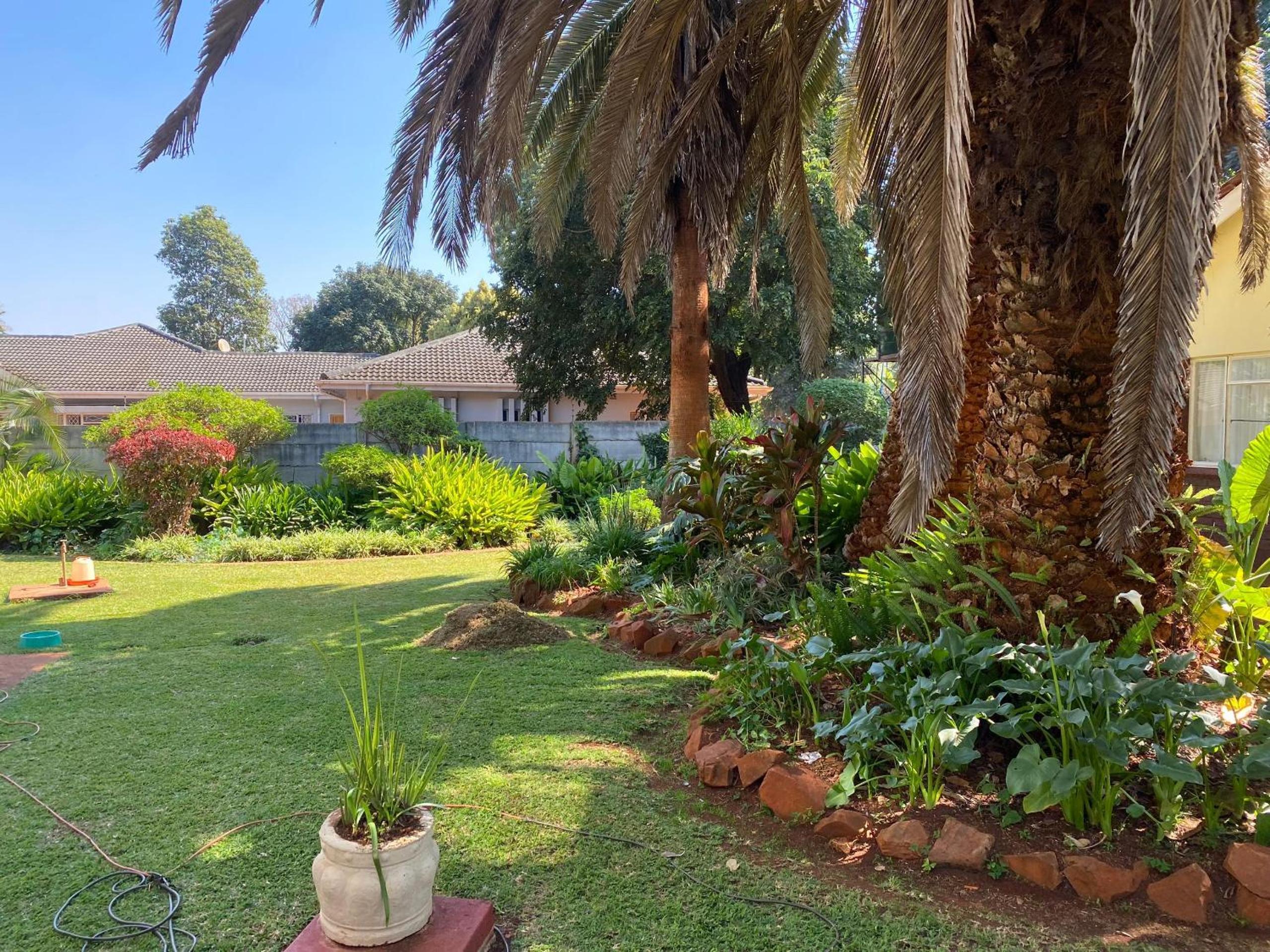 Luxurious 4 bed with pool in Helensvale - 2255