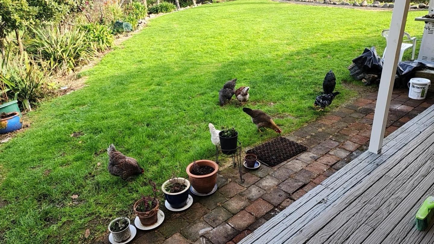 Photo 8