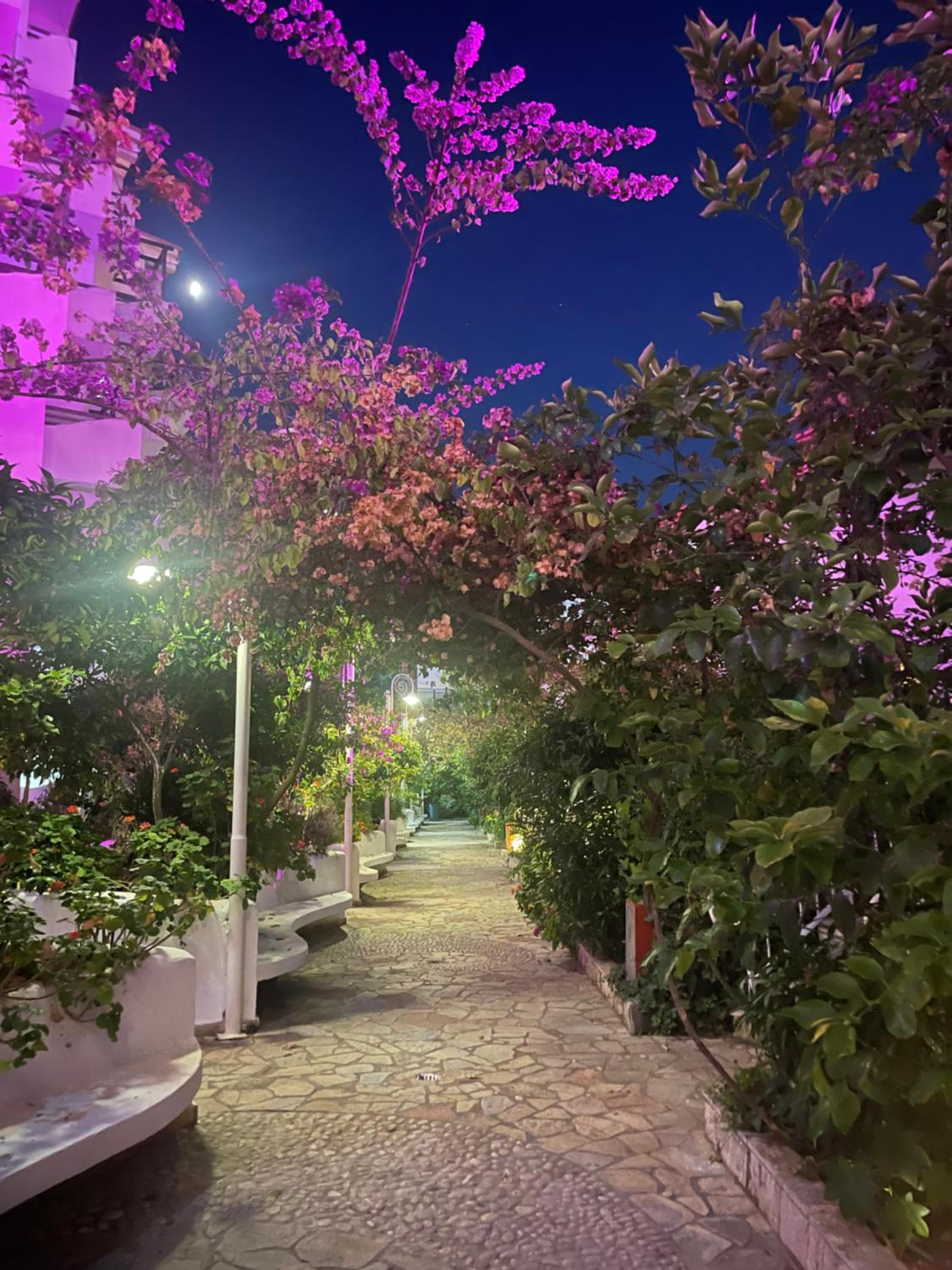 Sea Breeze Apartment Bougainville Bay