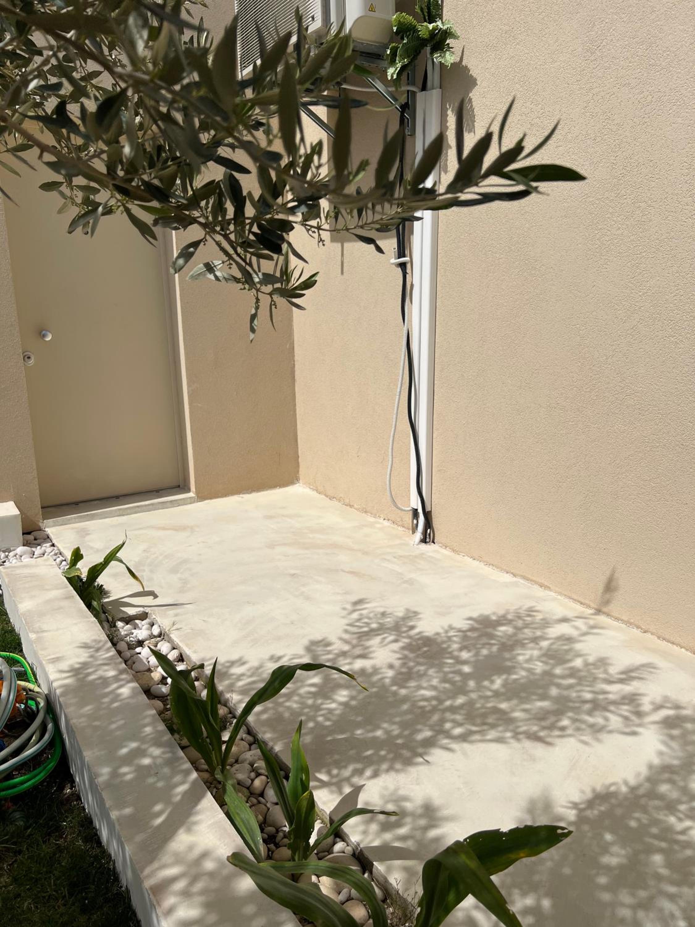 Green Coast Palase 241