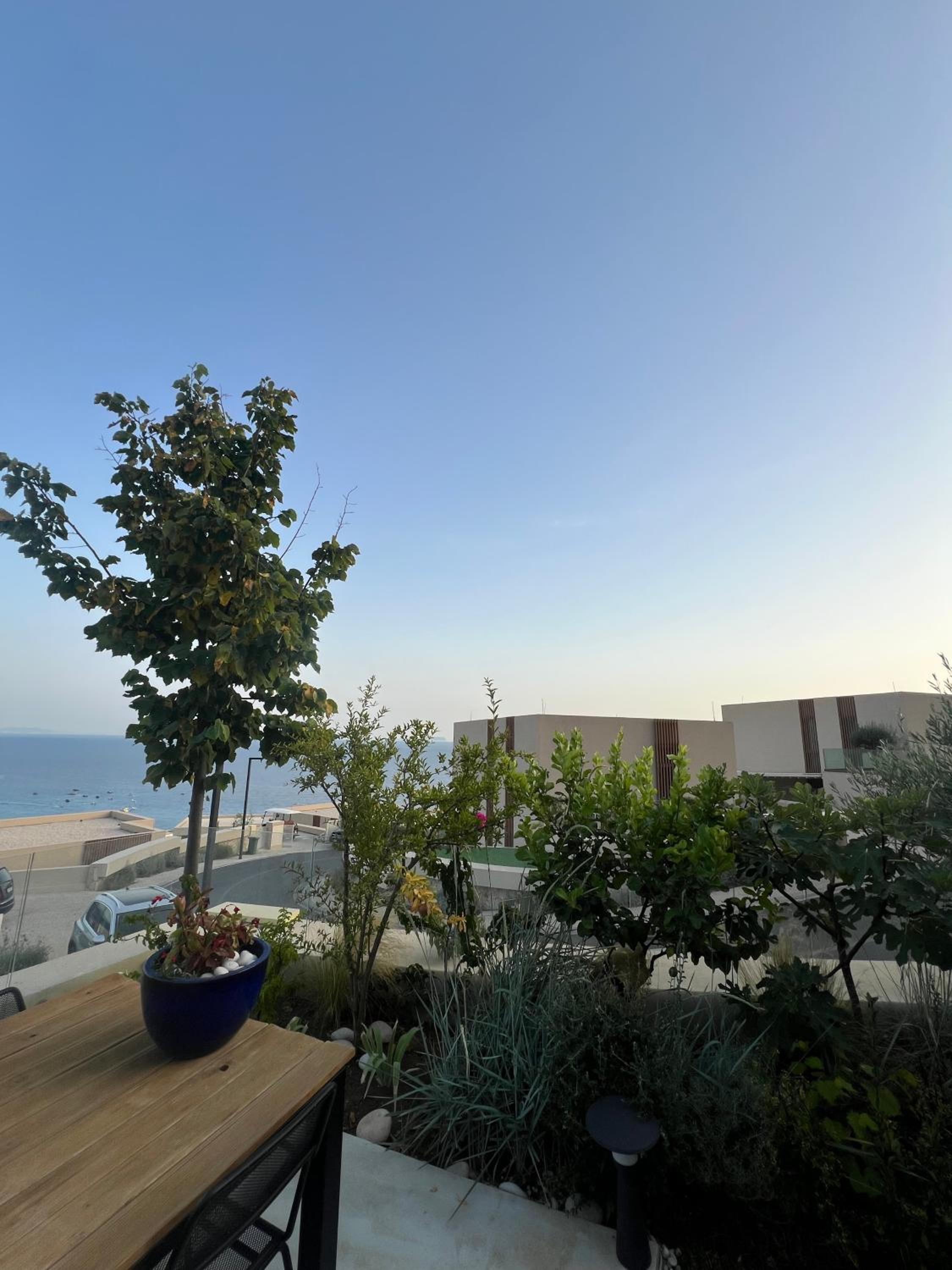 Green Coast Palase 241