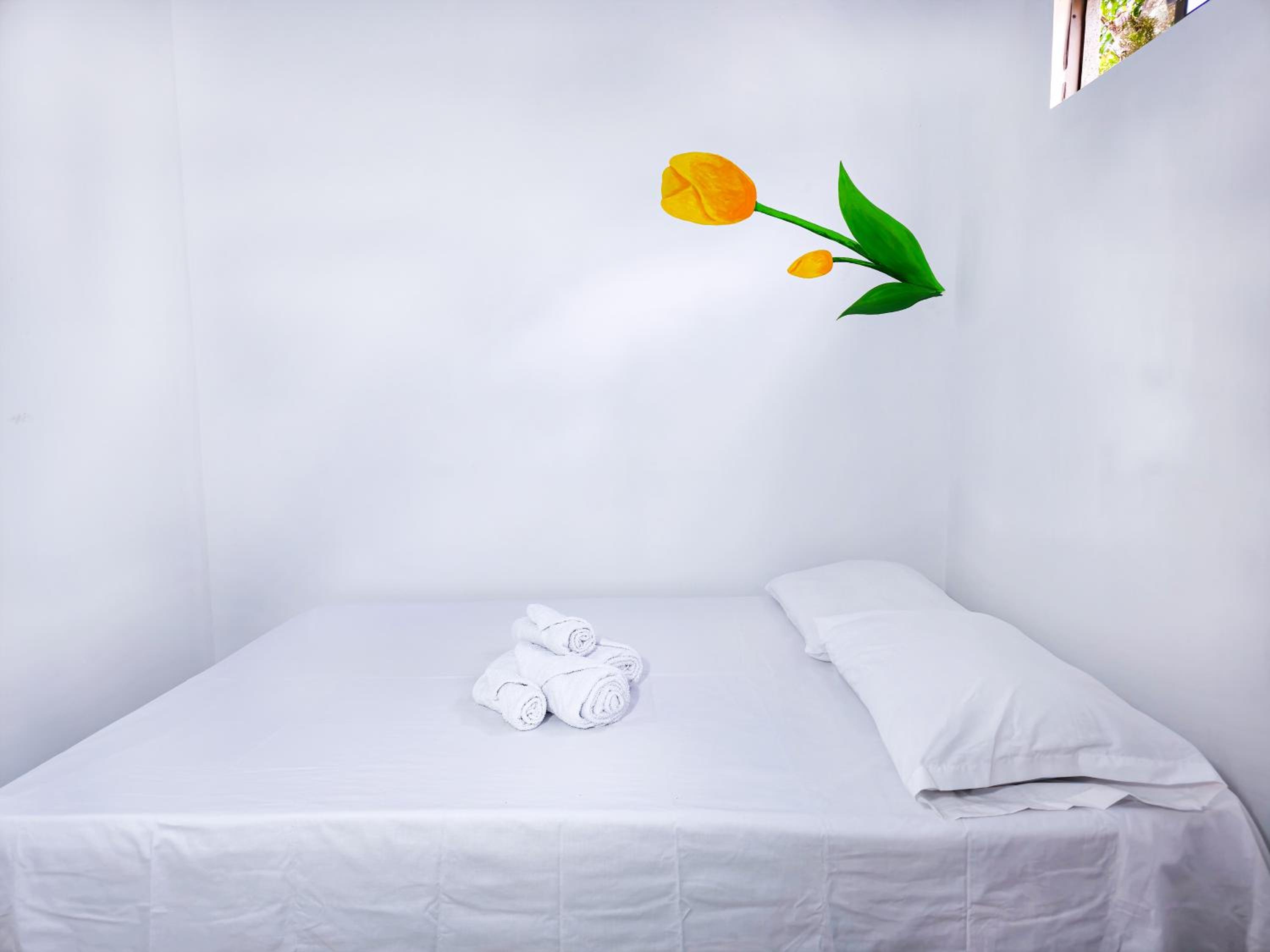 Casa Tulipán