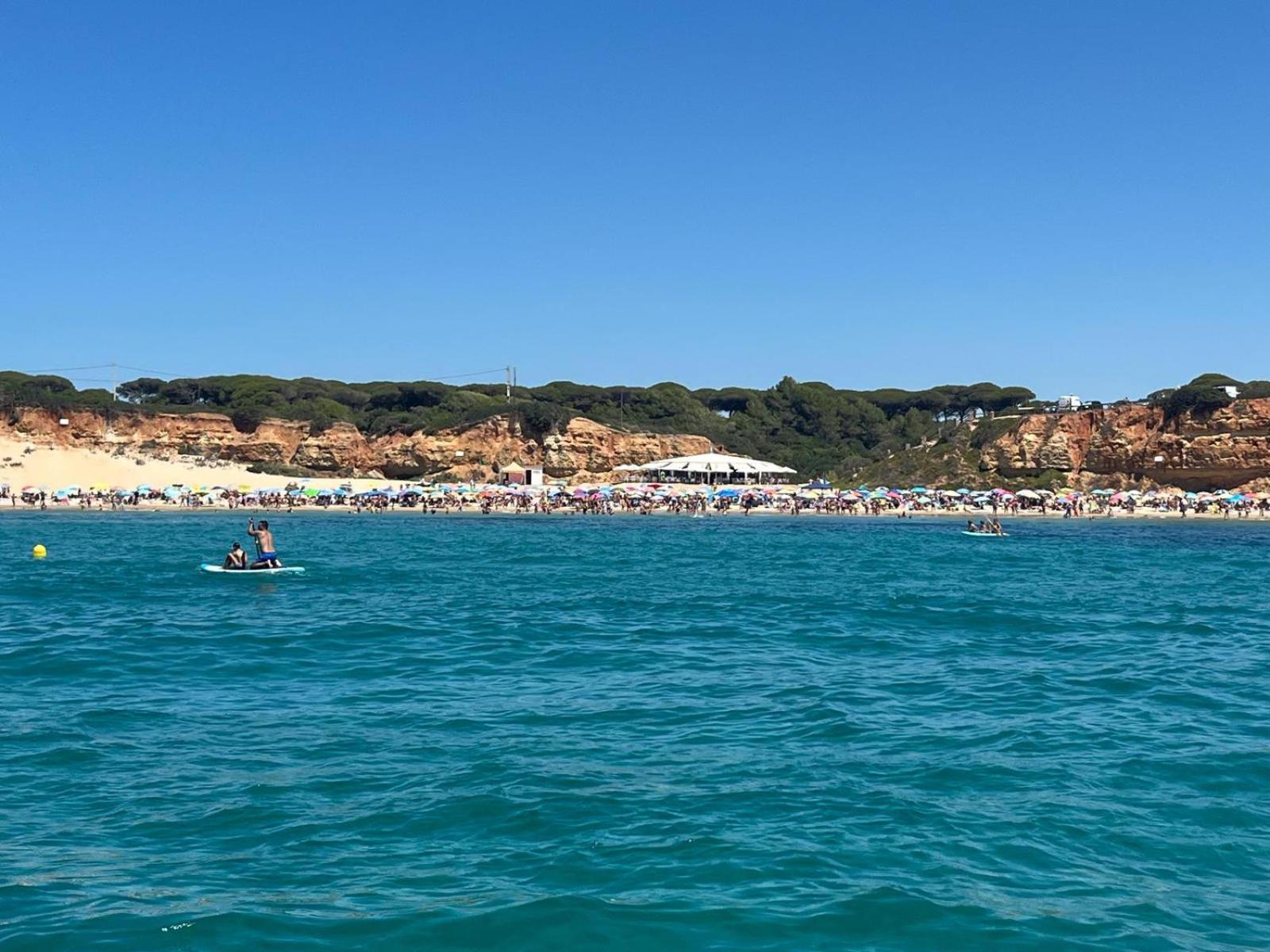 Apartamentos alsa conil