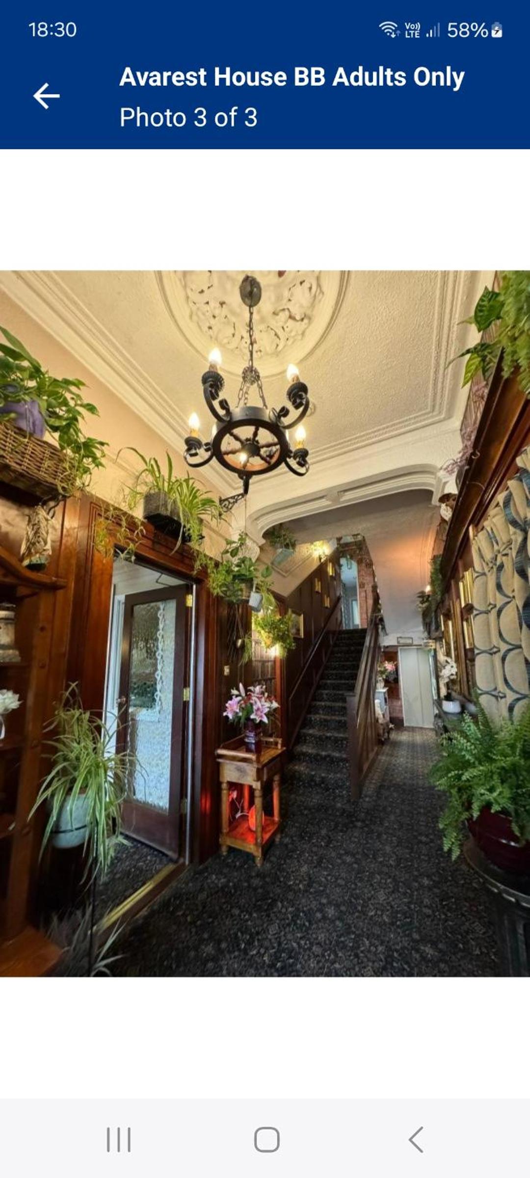 Avarest House BB Adults Only, photo 31