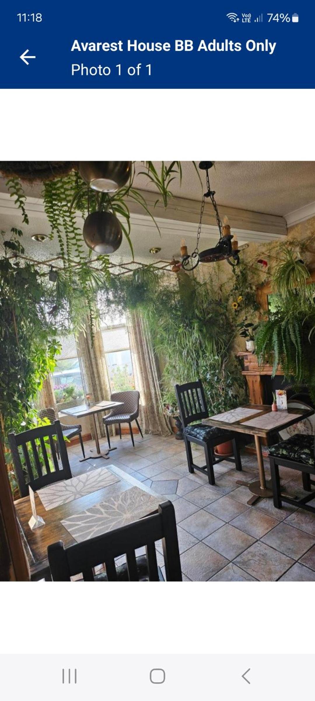 Avarest House BB Adults Only, photo 36