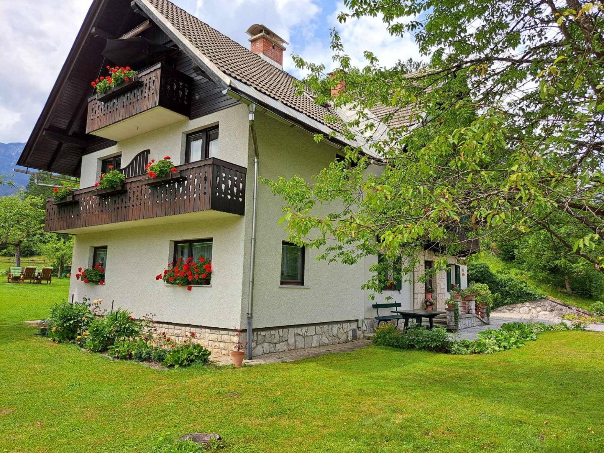 Photo 39