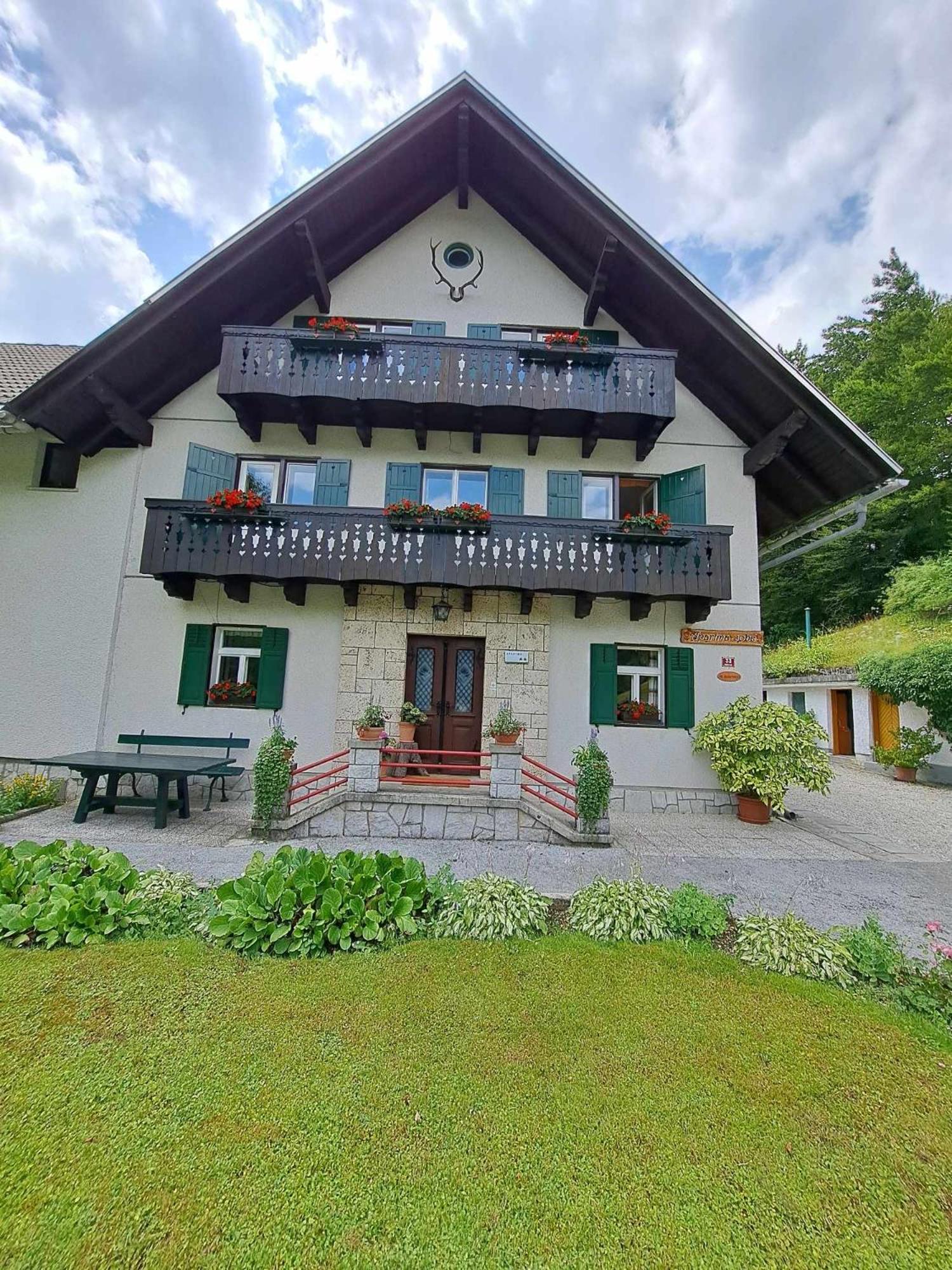 House Škantar Bohinj view 2