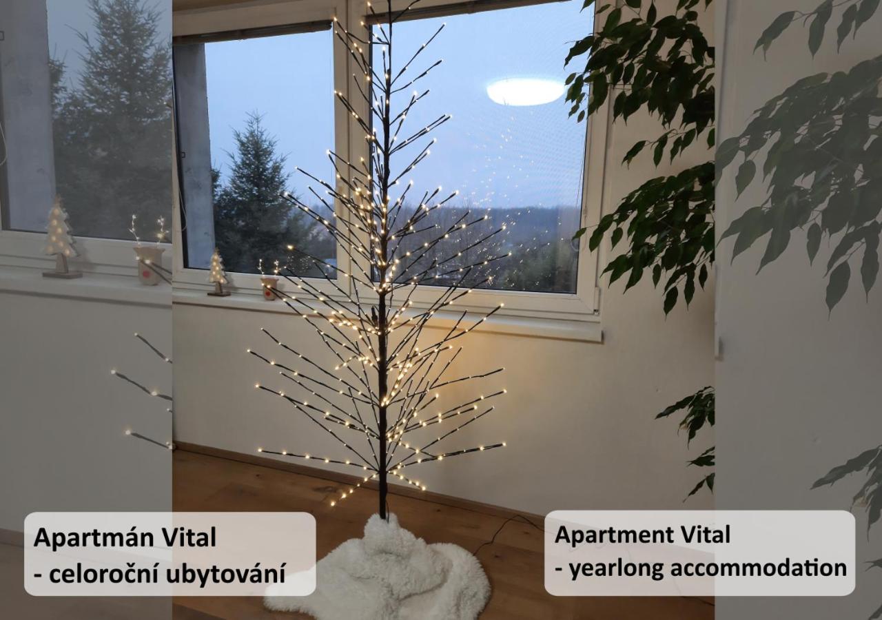 Apartmán Vital na Pálavě - ubytování & životní restart