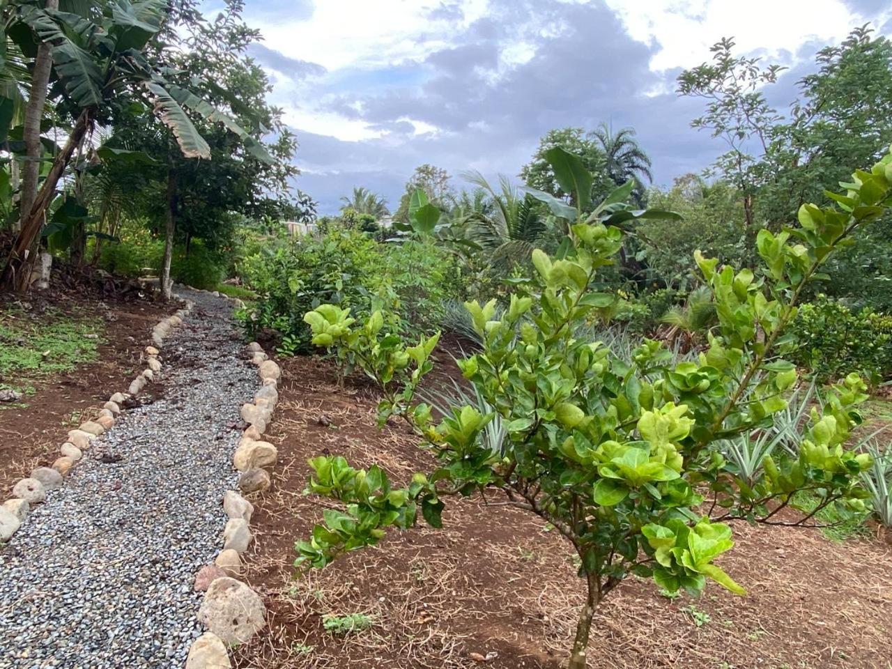 Casas La Chirincoca