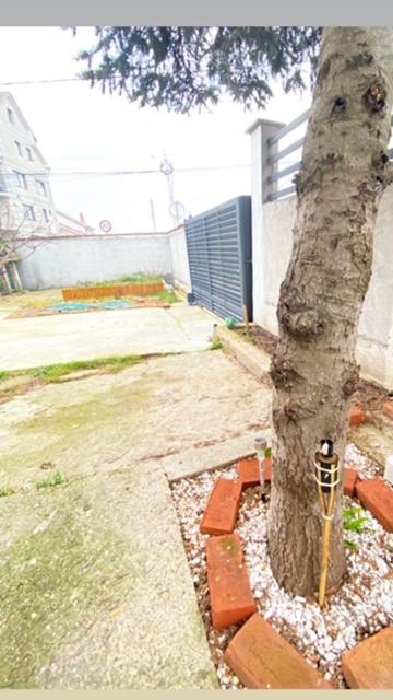 Modern Studio Apatment,Belgrade
