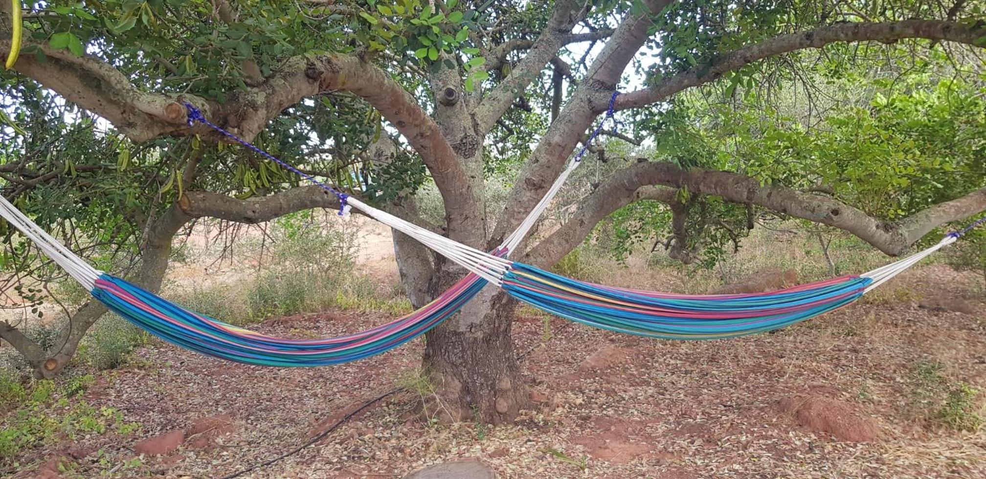 Quinta da Fornalha - Santuario Agroecologico