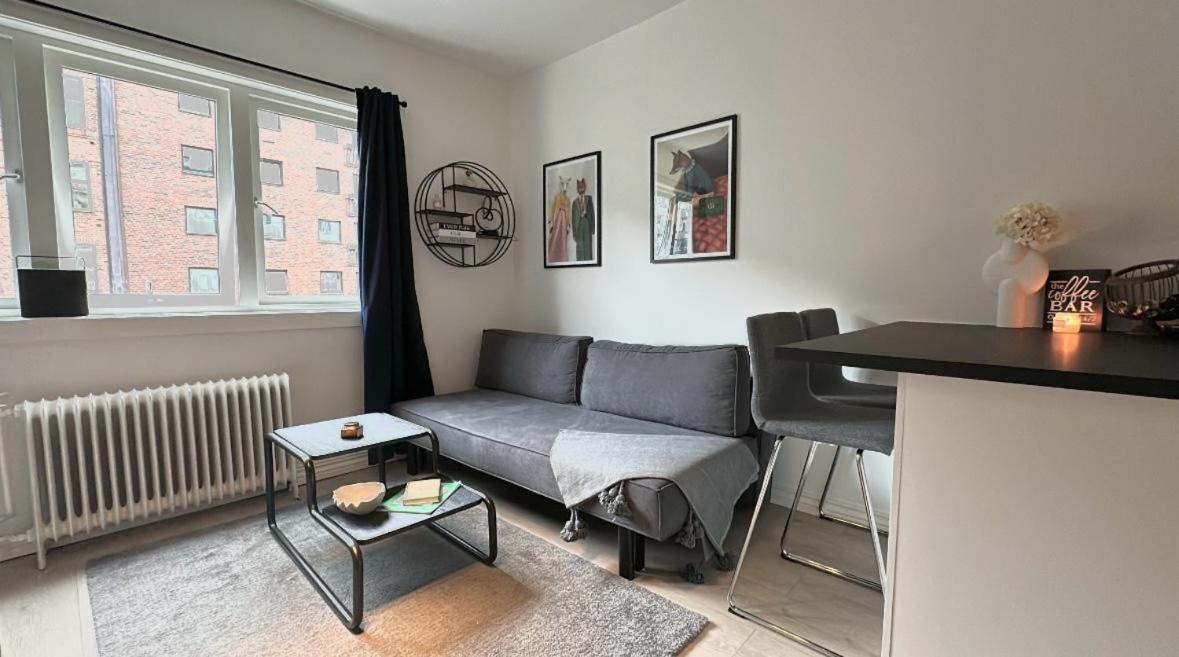 Cozy City Studio with free parking view 5