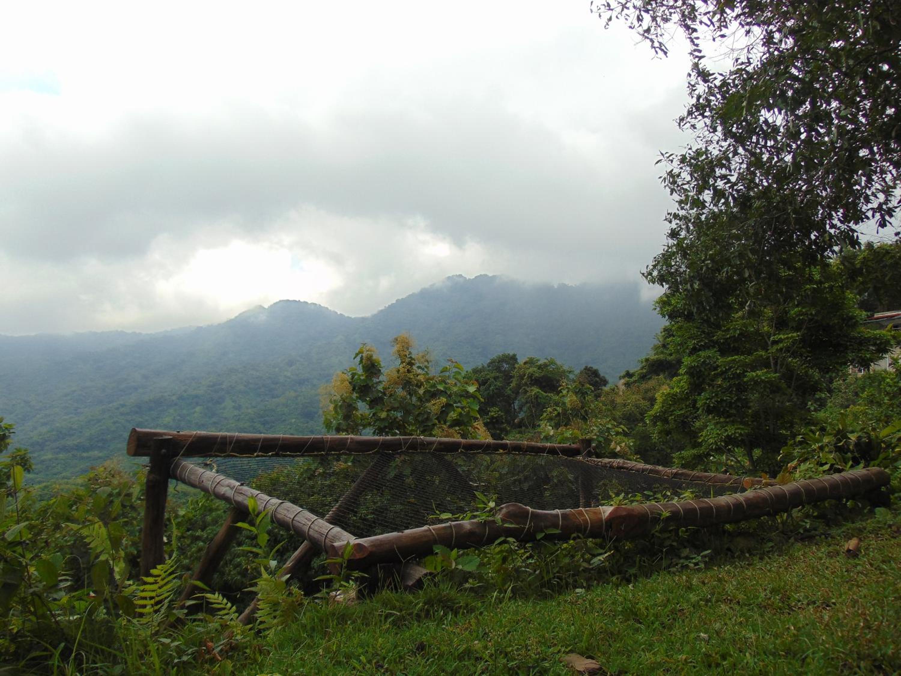 Dunarinka