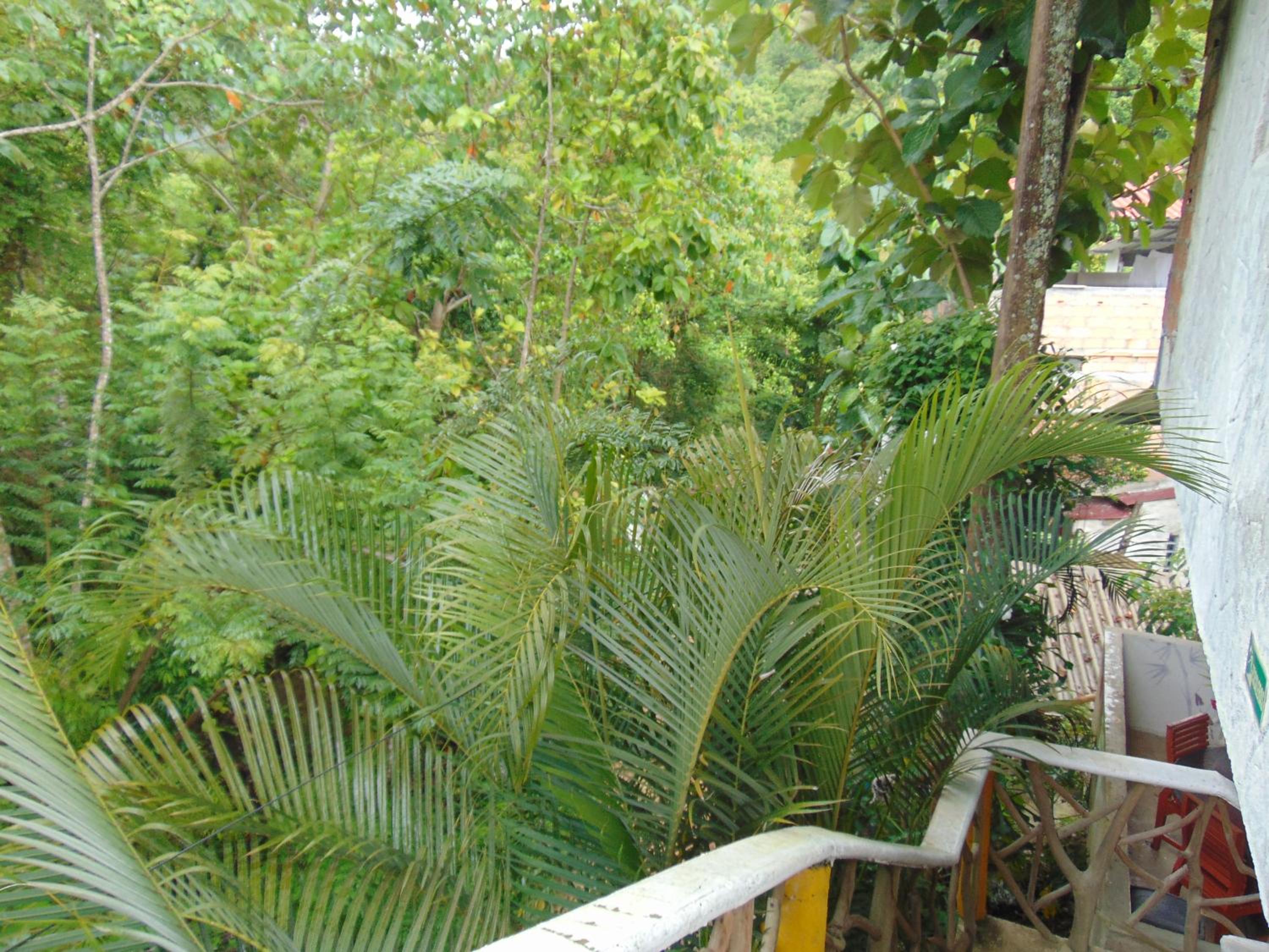Dunarinka