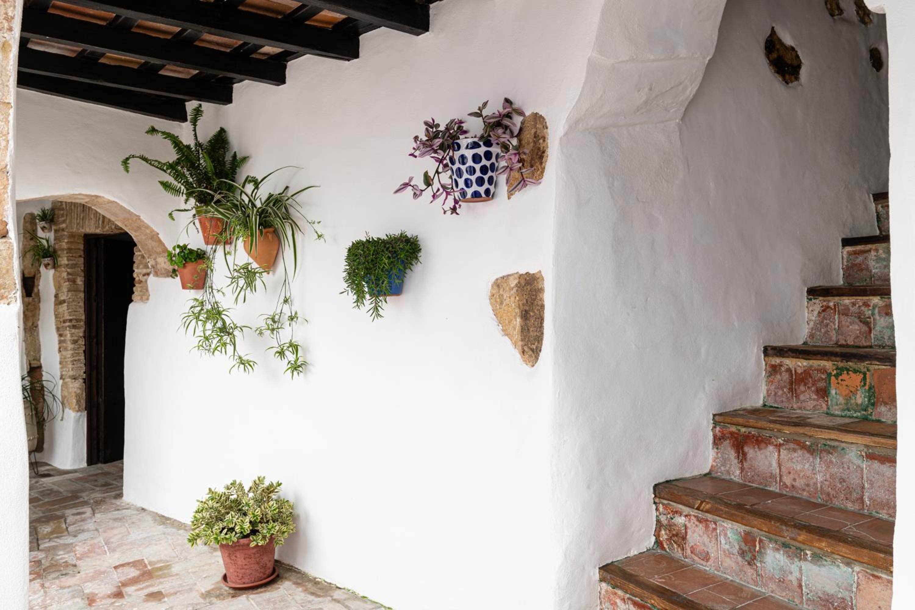Casa Lunarito
