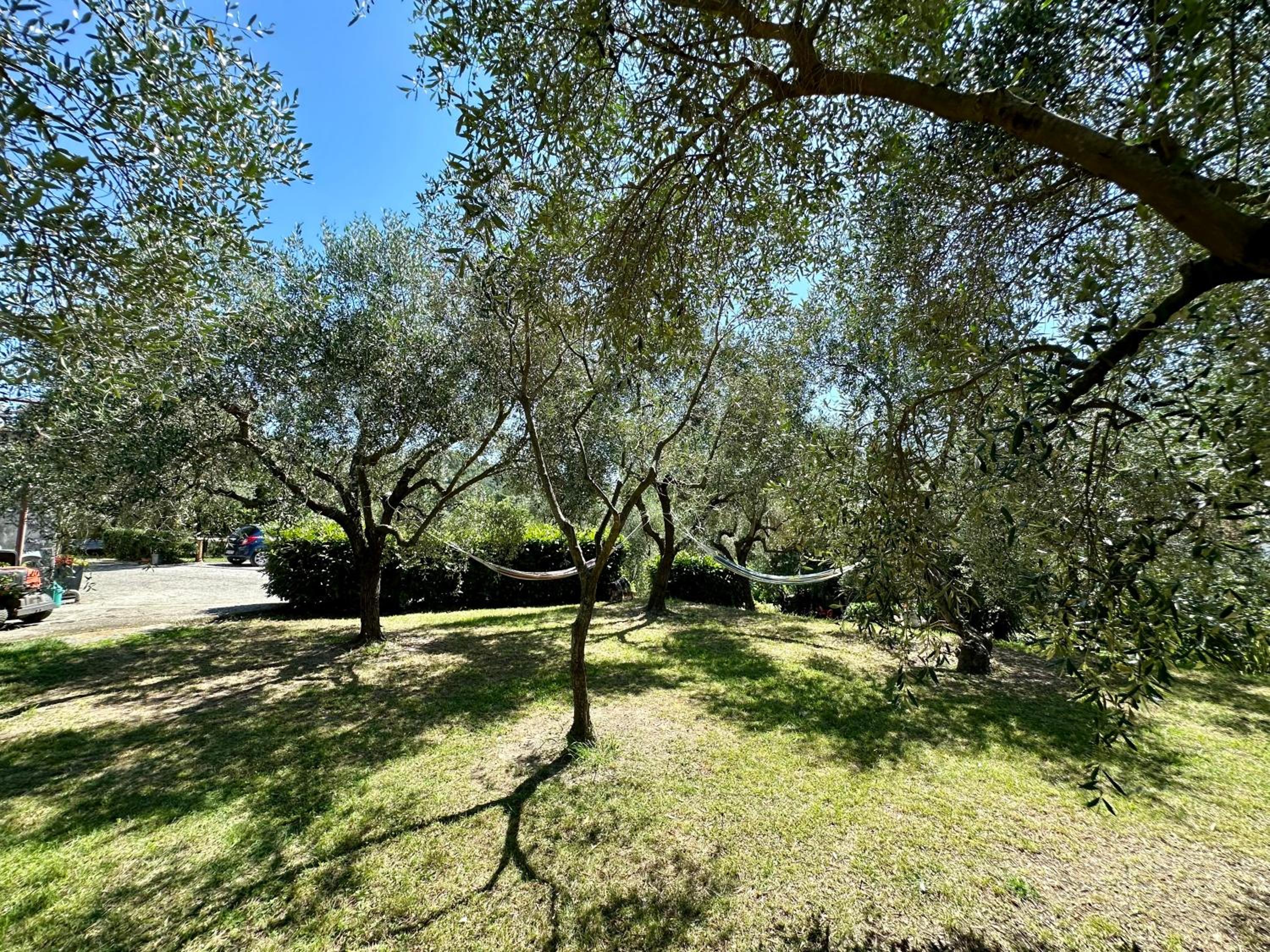 Agriturismo Uliveto Bartolomeo