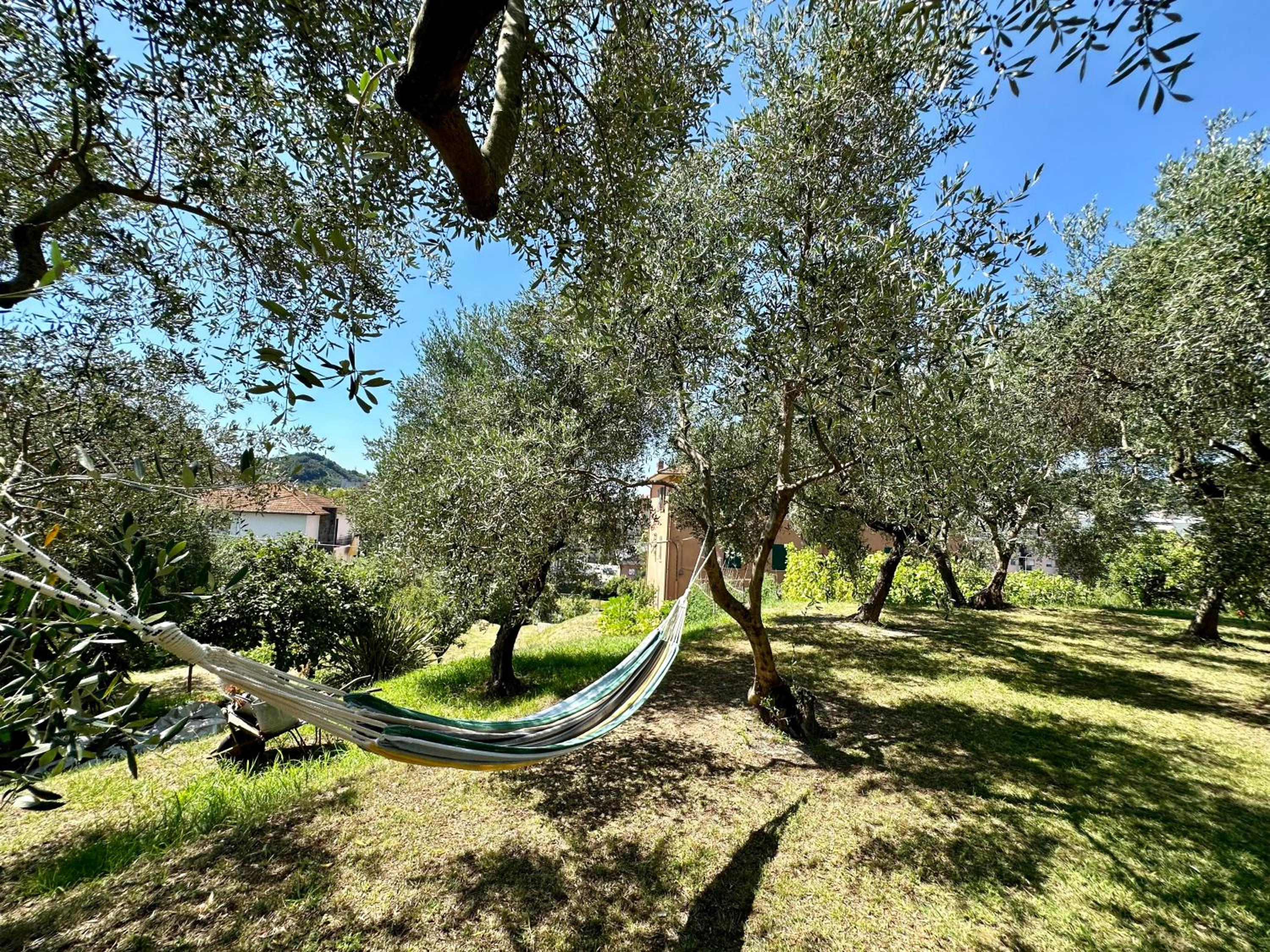Agriturismo Uliveto Bartolomeo