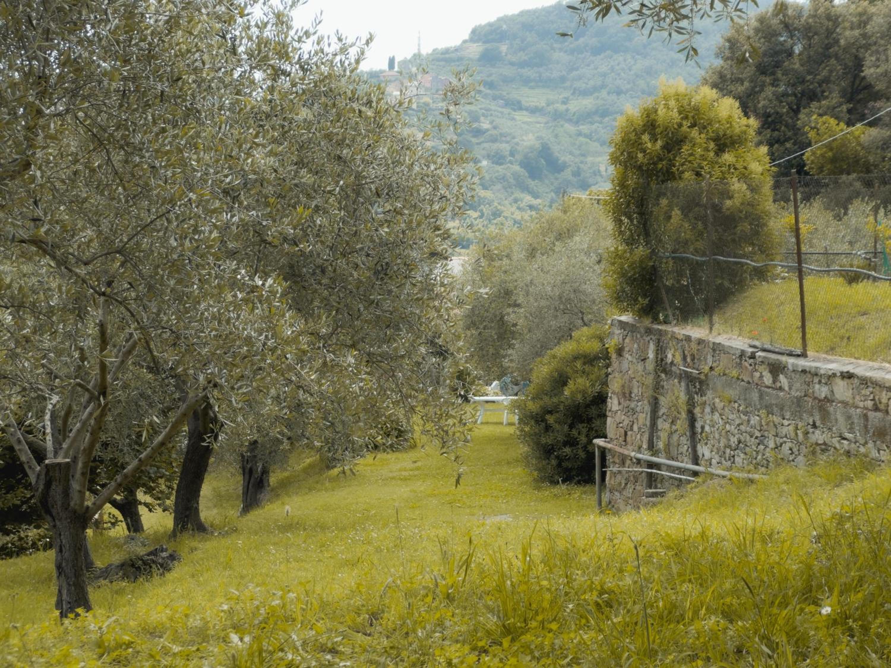 Agriturismo Uliveto Bartolomeo