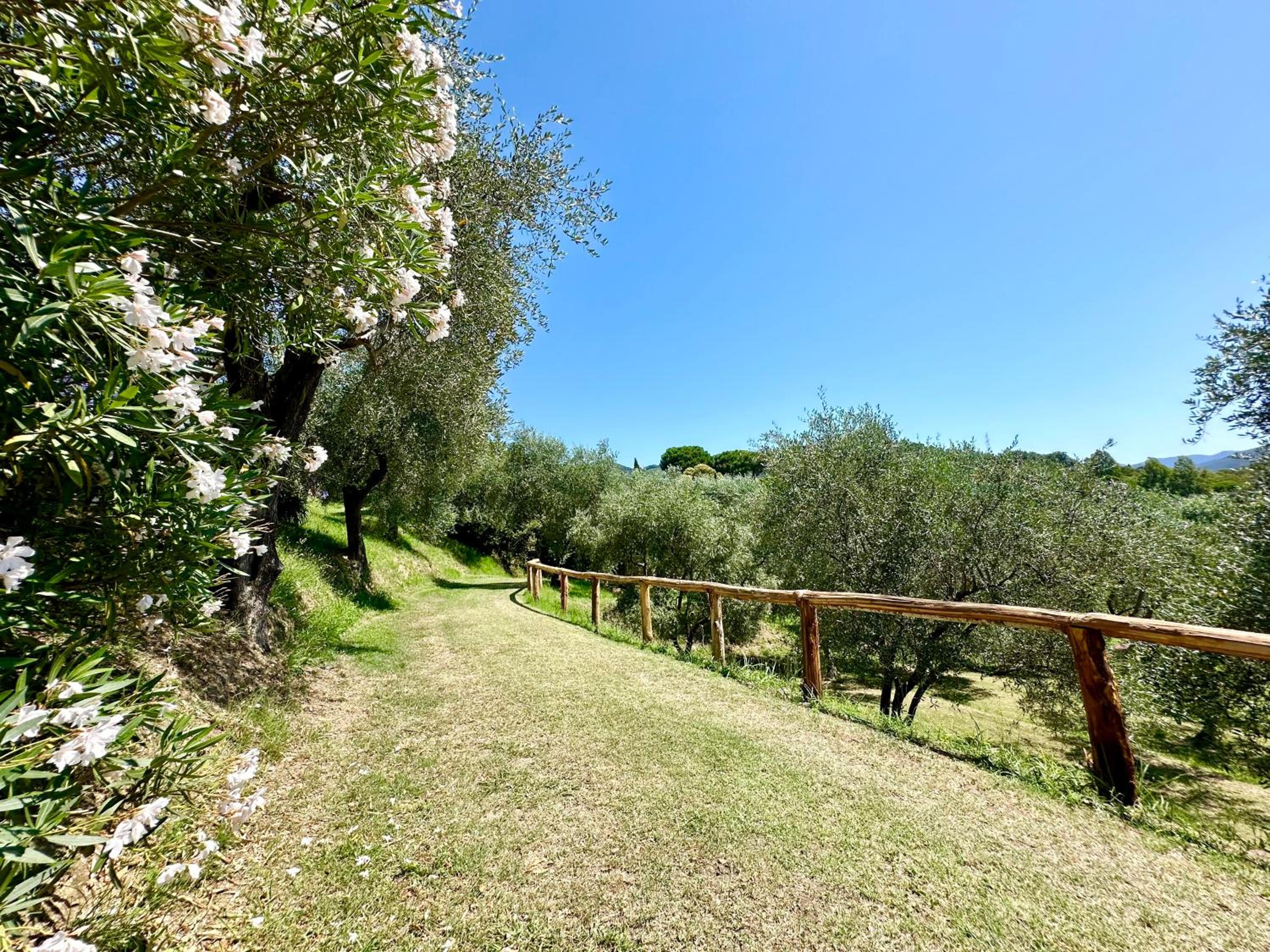 Agriturismo Uliveto Bartolomeo