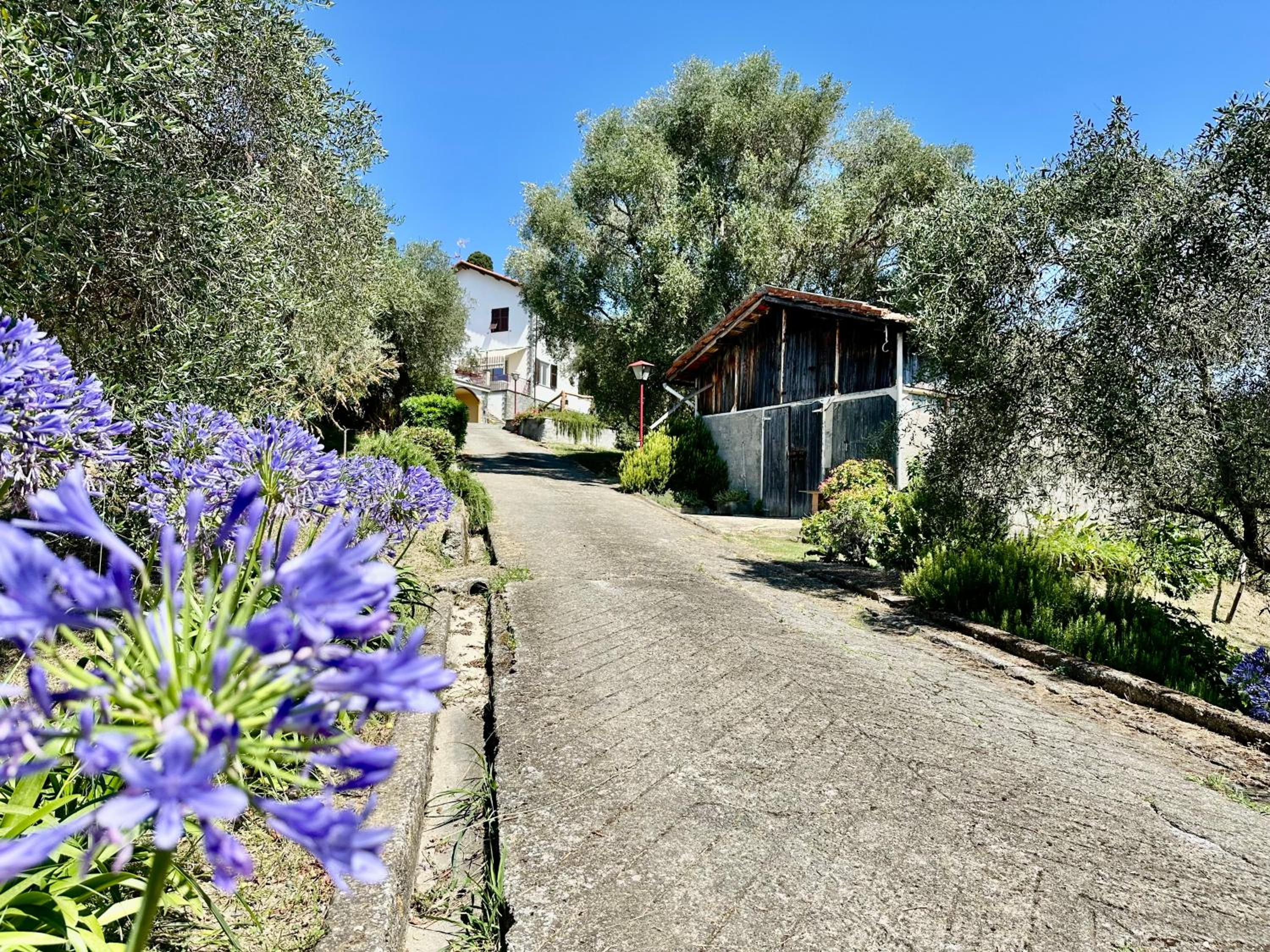 Agriturismo Uliveto Bartolomeo