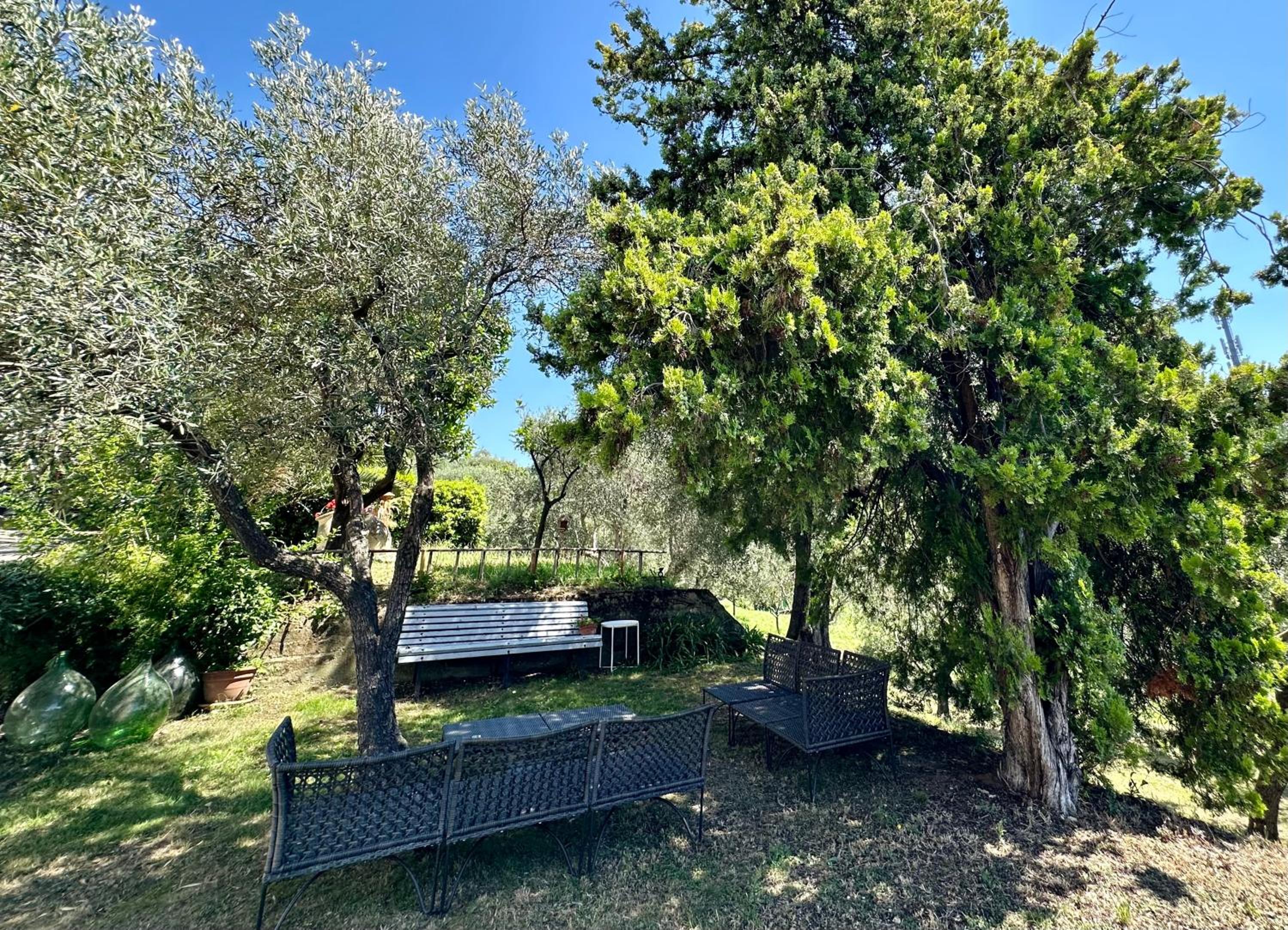 Agriturismo Uliveto Bartolomeo