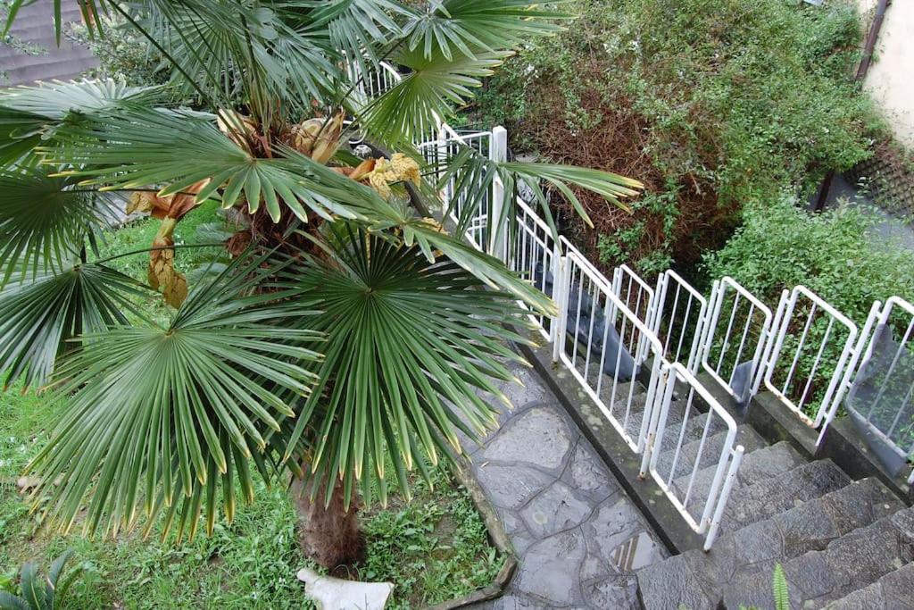 Photo 22