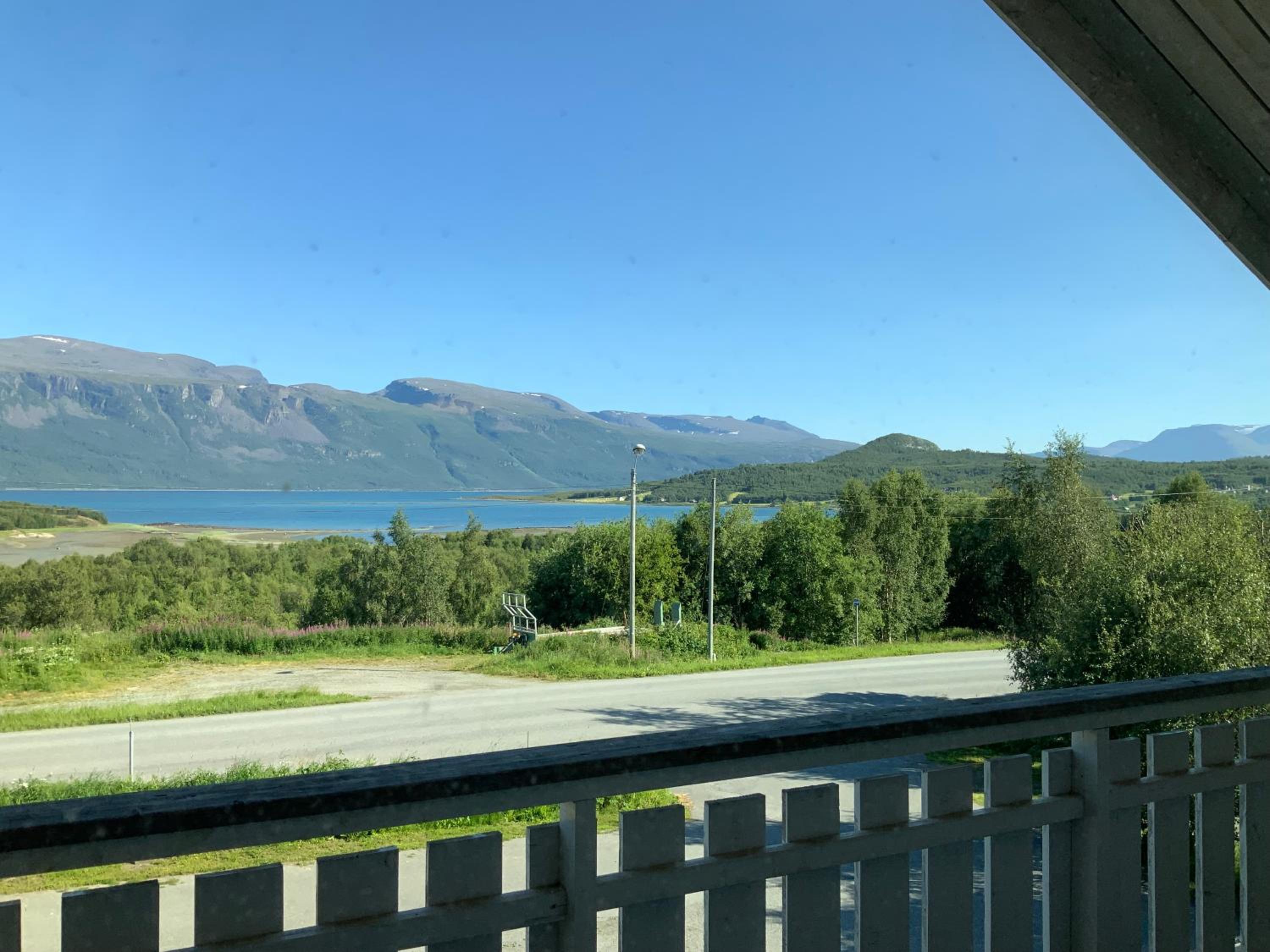 Lyngen