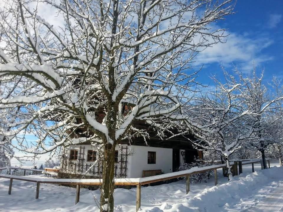 Troidkasten am Grandsberg