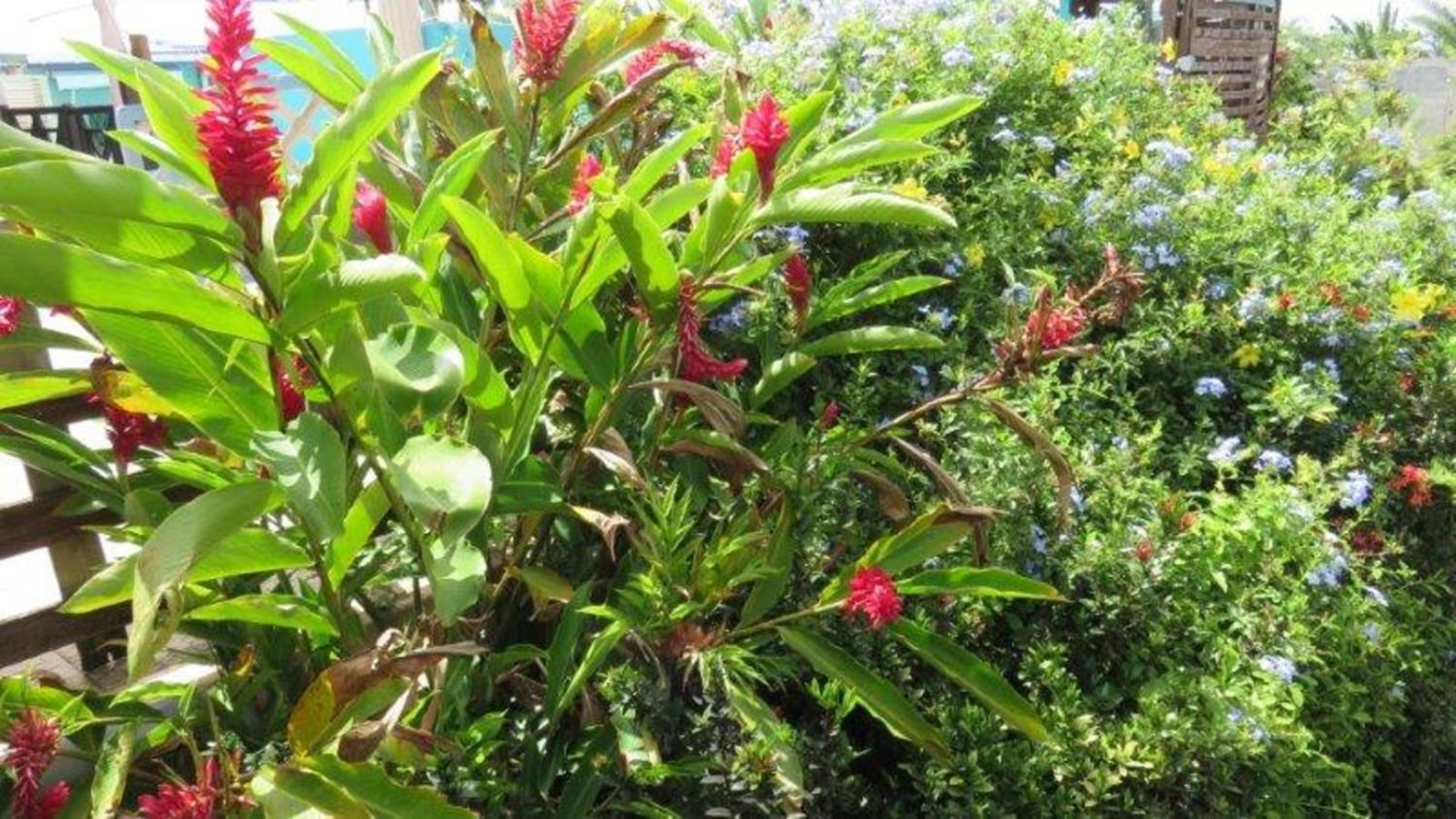 Photo 19