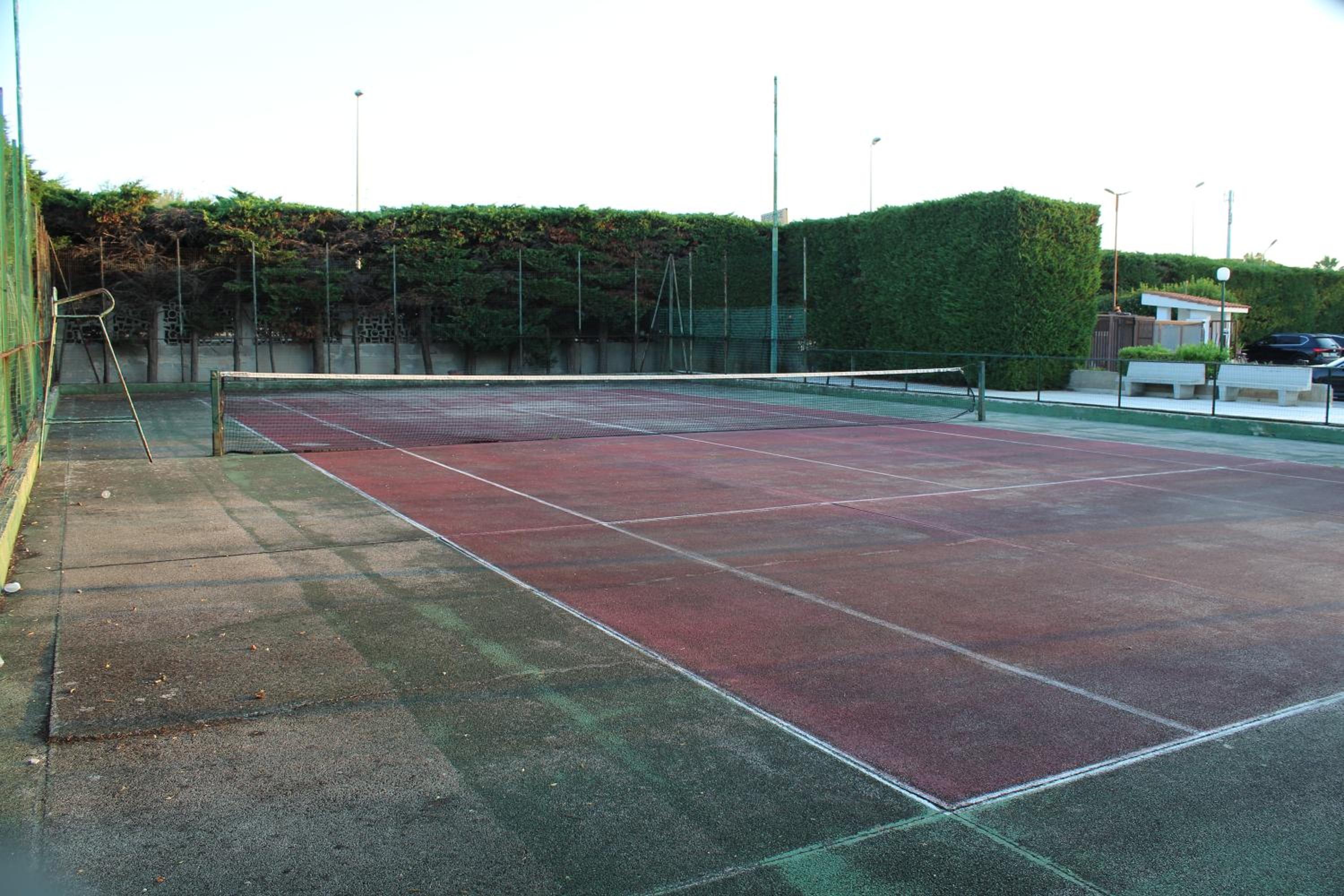 Photo 8