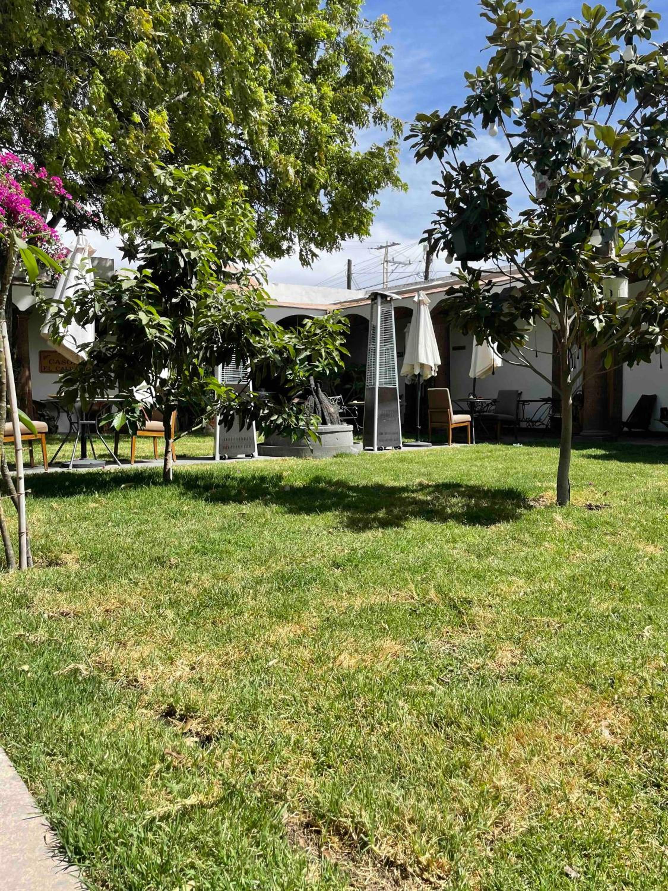 Photo 14