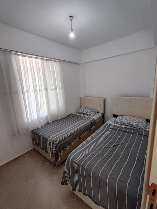 01 Numaralı Daire view 4