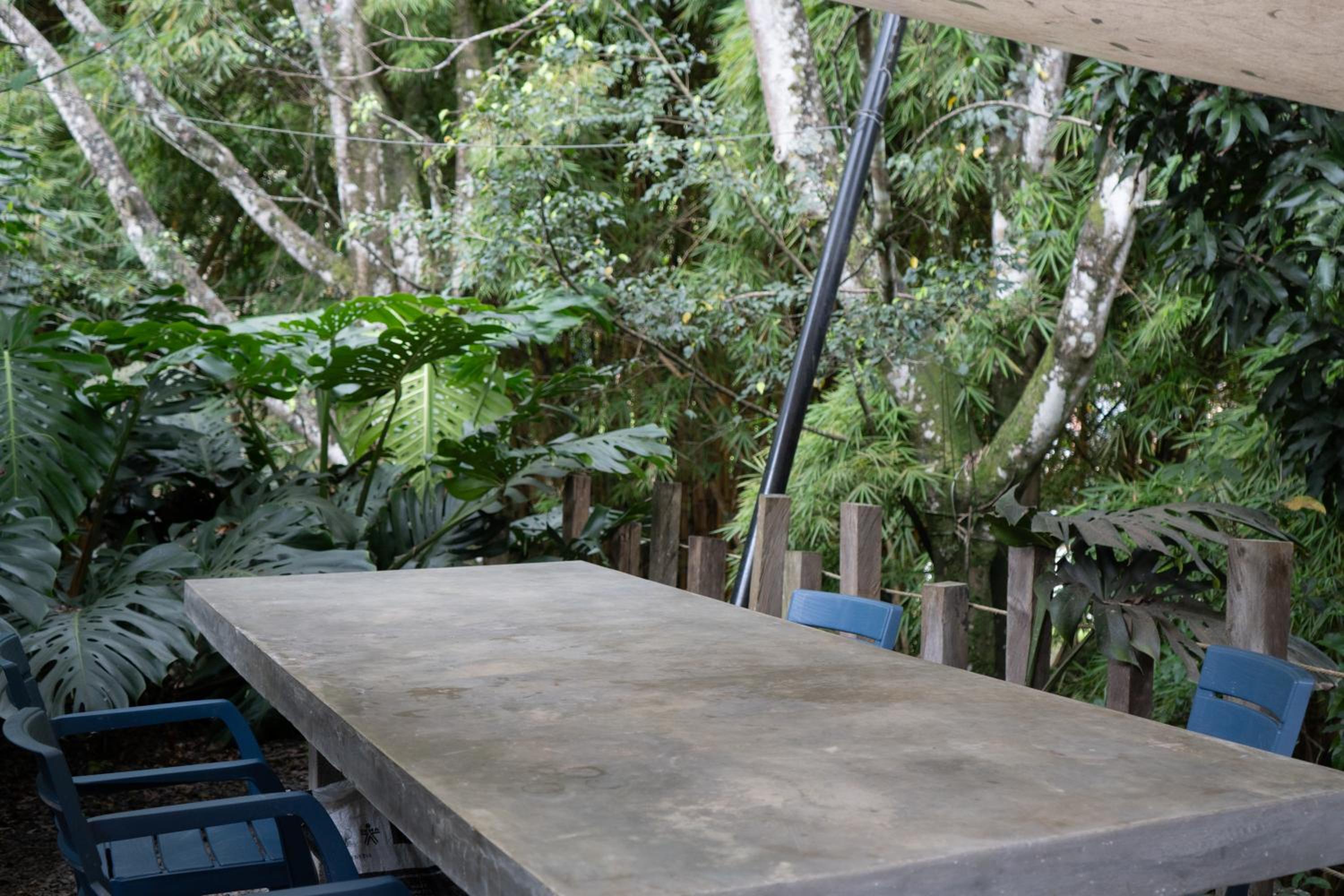 Central House in El Poblado surrounded by nature