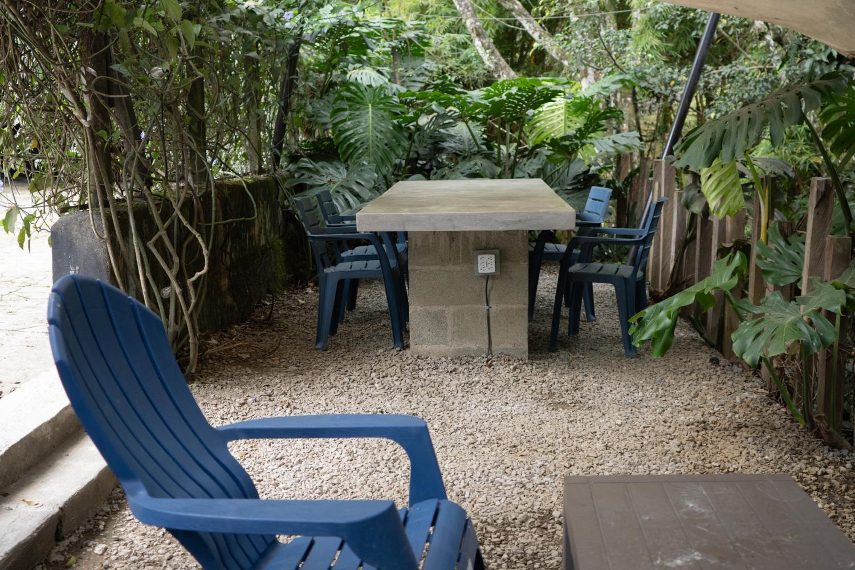 Central House in El Poblado surrounded by nature