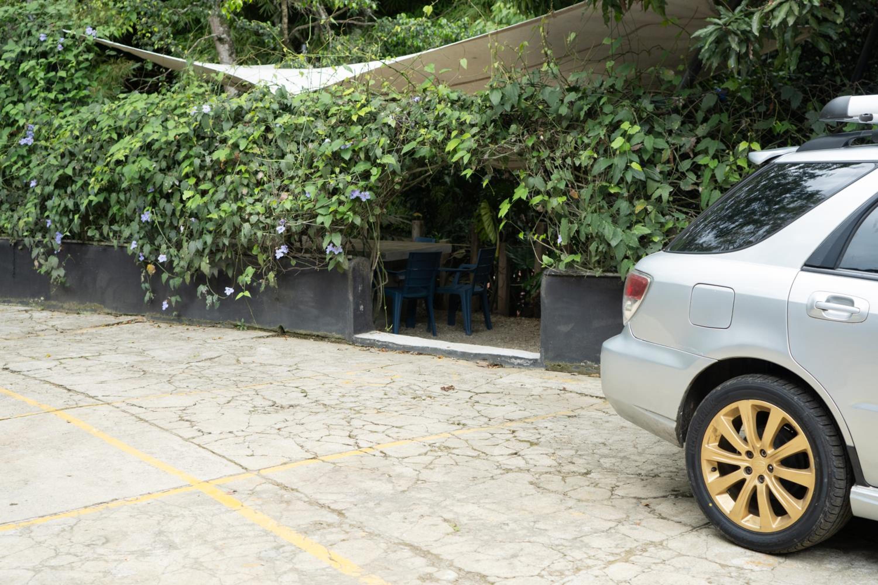 Central House in El Poblado surrounded by nature