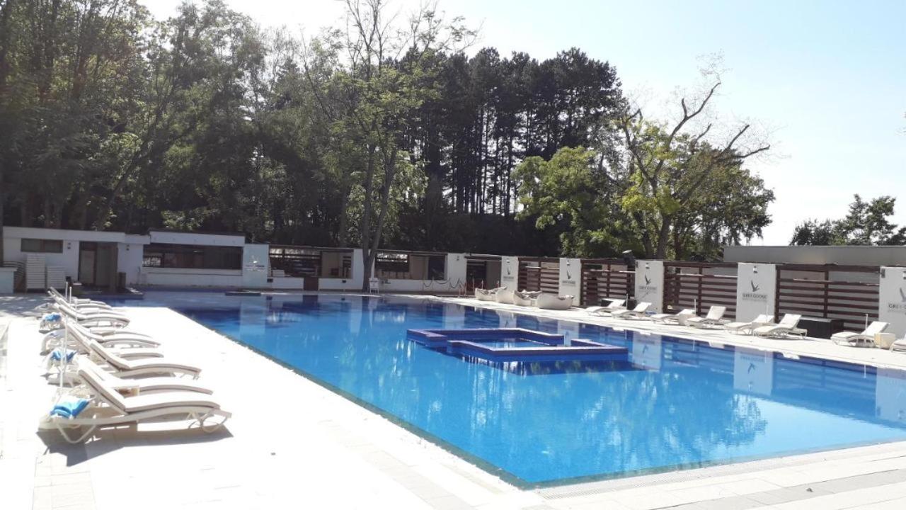 Golden beach luxury apartment