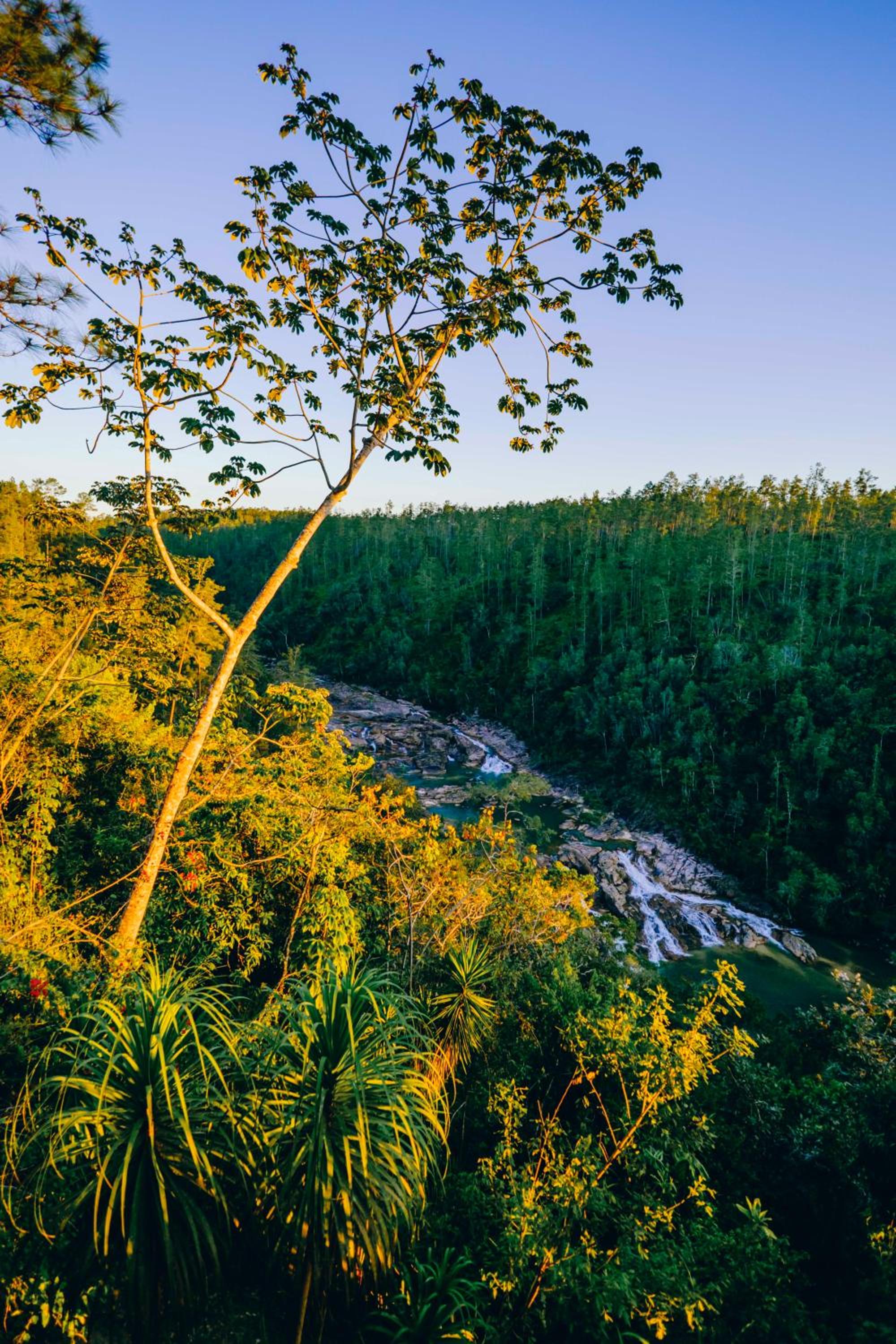 Belize Vacations - Gaia Riverlodge - Property Image 24
