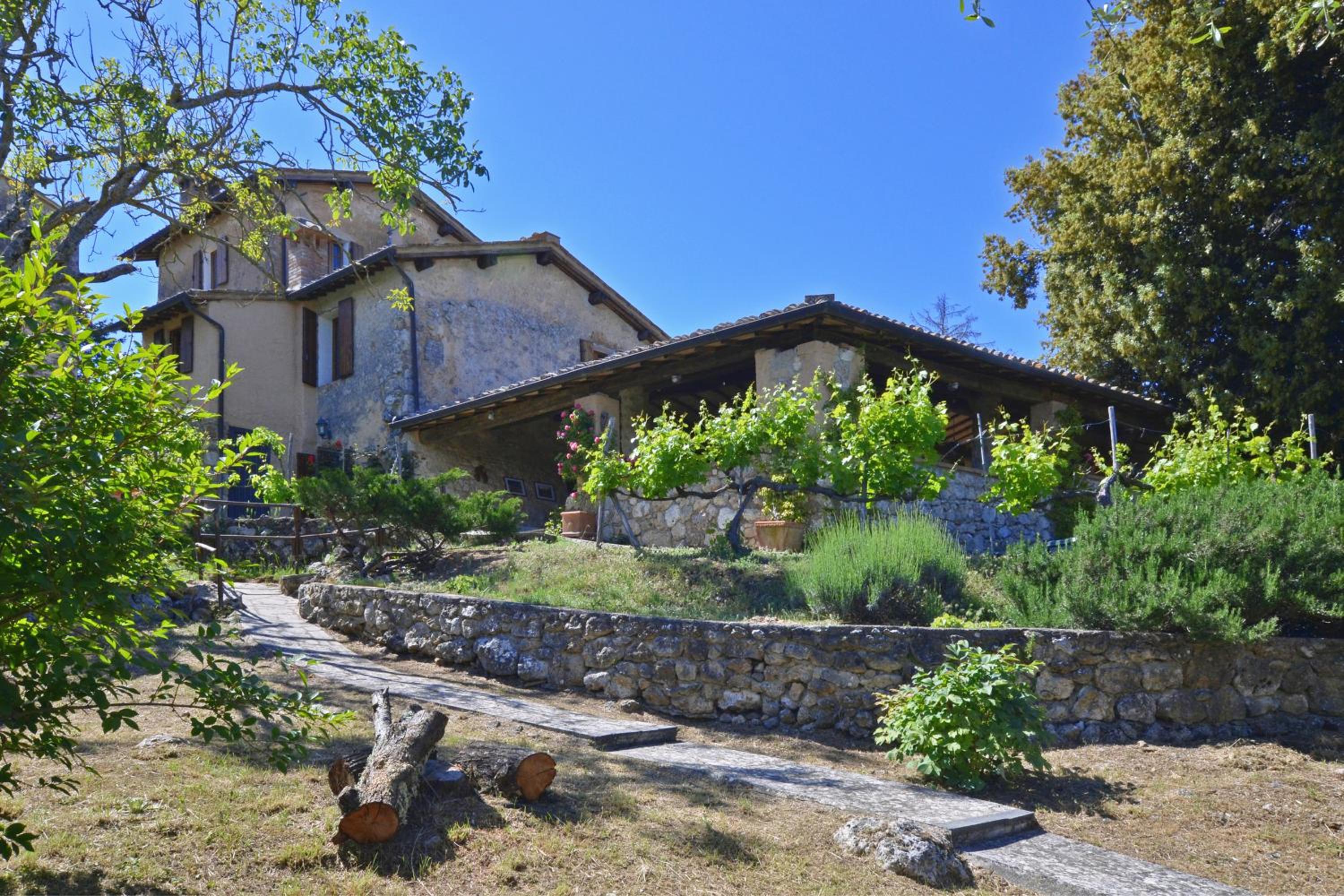 Photo 8