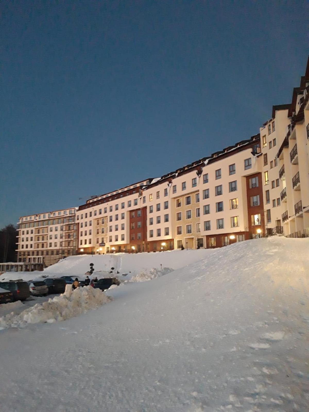 Milmari L39 Kopaonik view 4