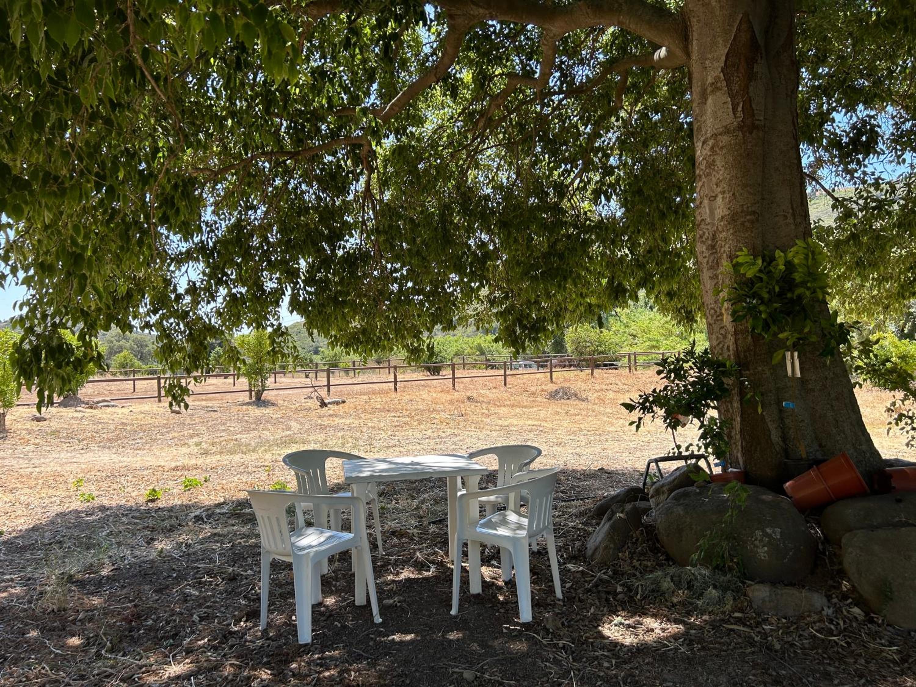 Finca Santa Teresa, Casa Granada