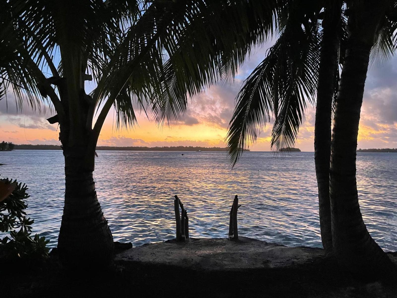 PARADISE