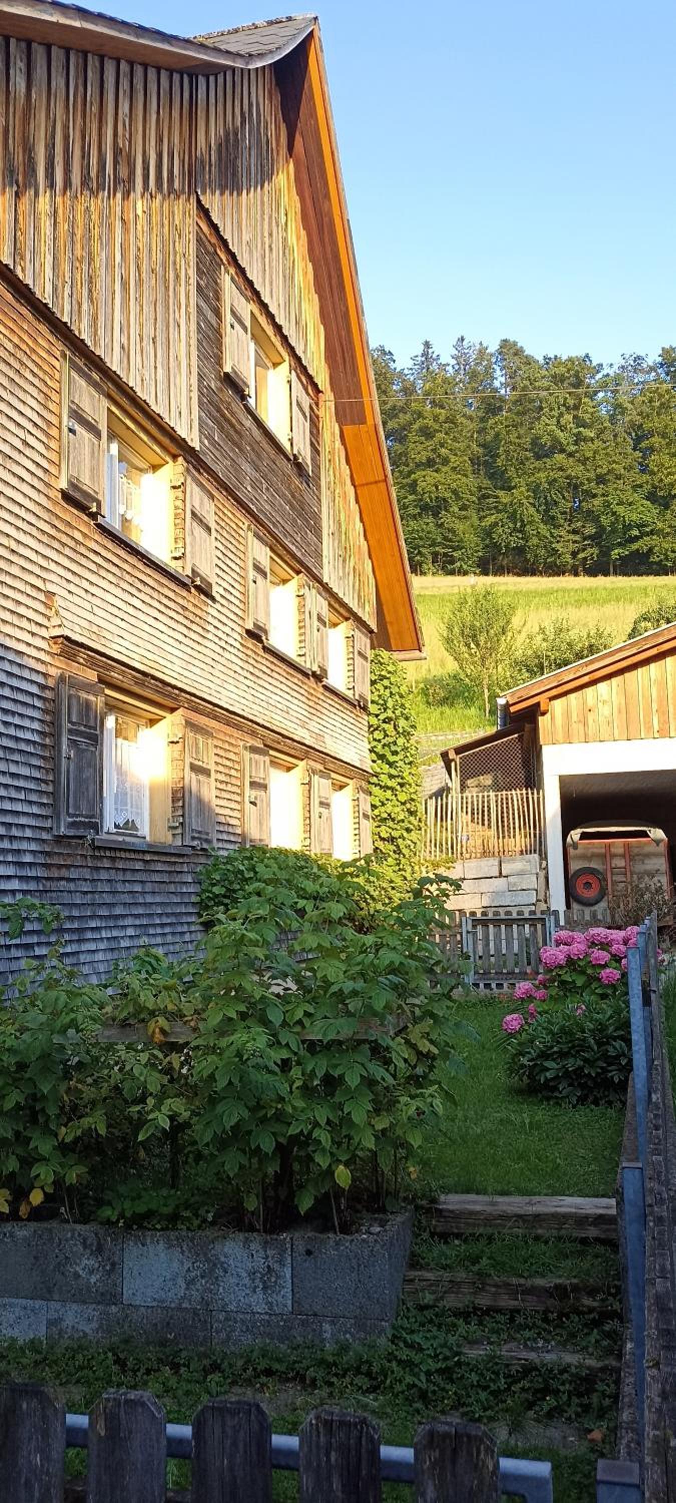 Ursprungshaus - Nuss und Traube