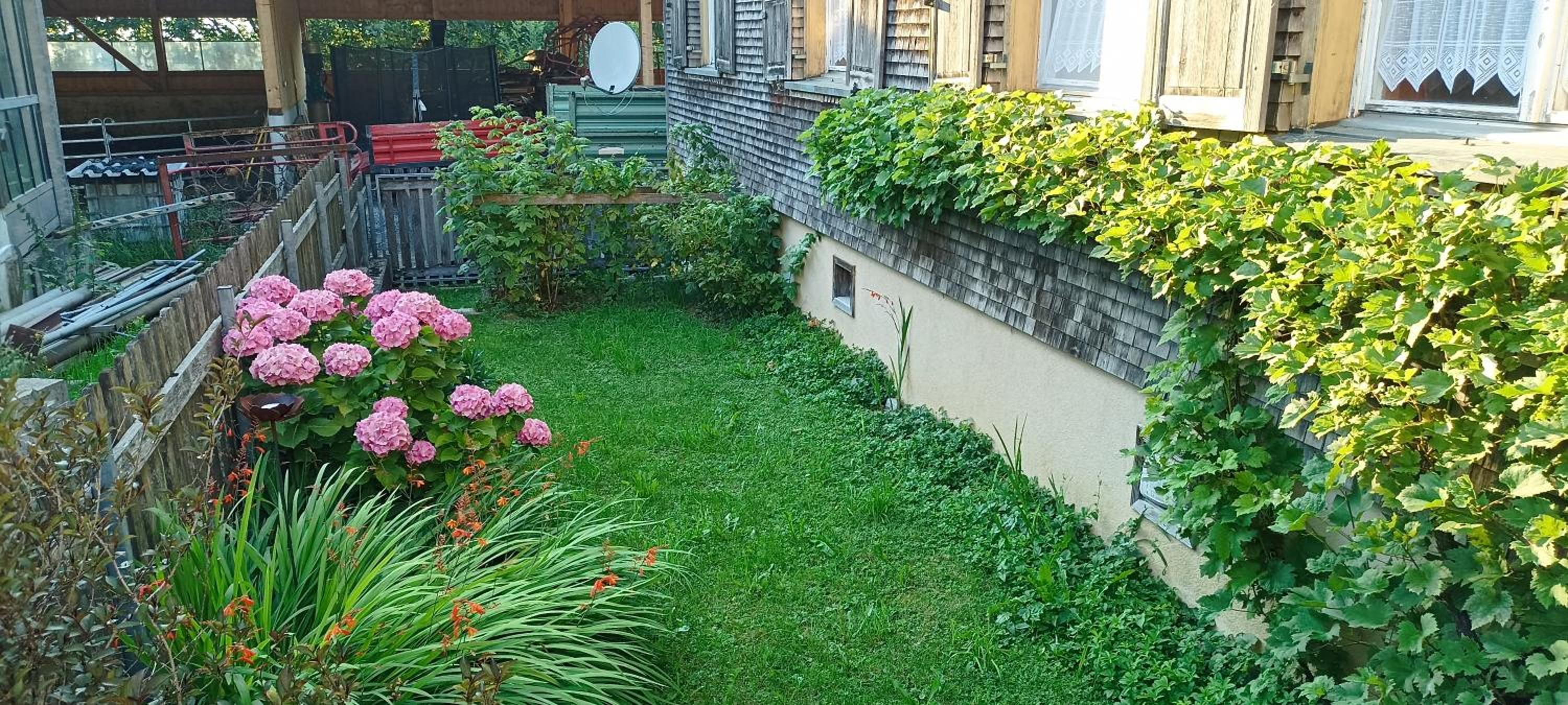 Ursprungshaus - Nuss und Traube