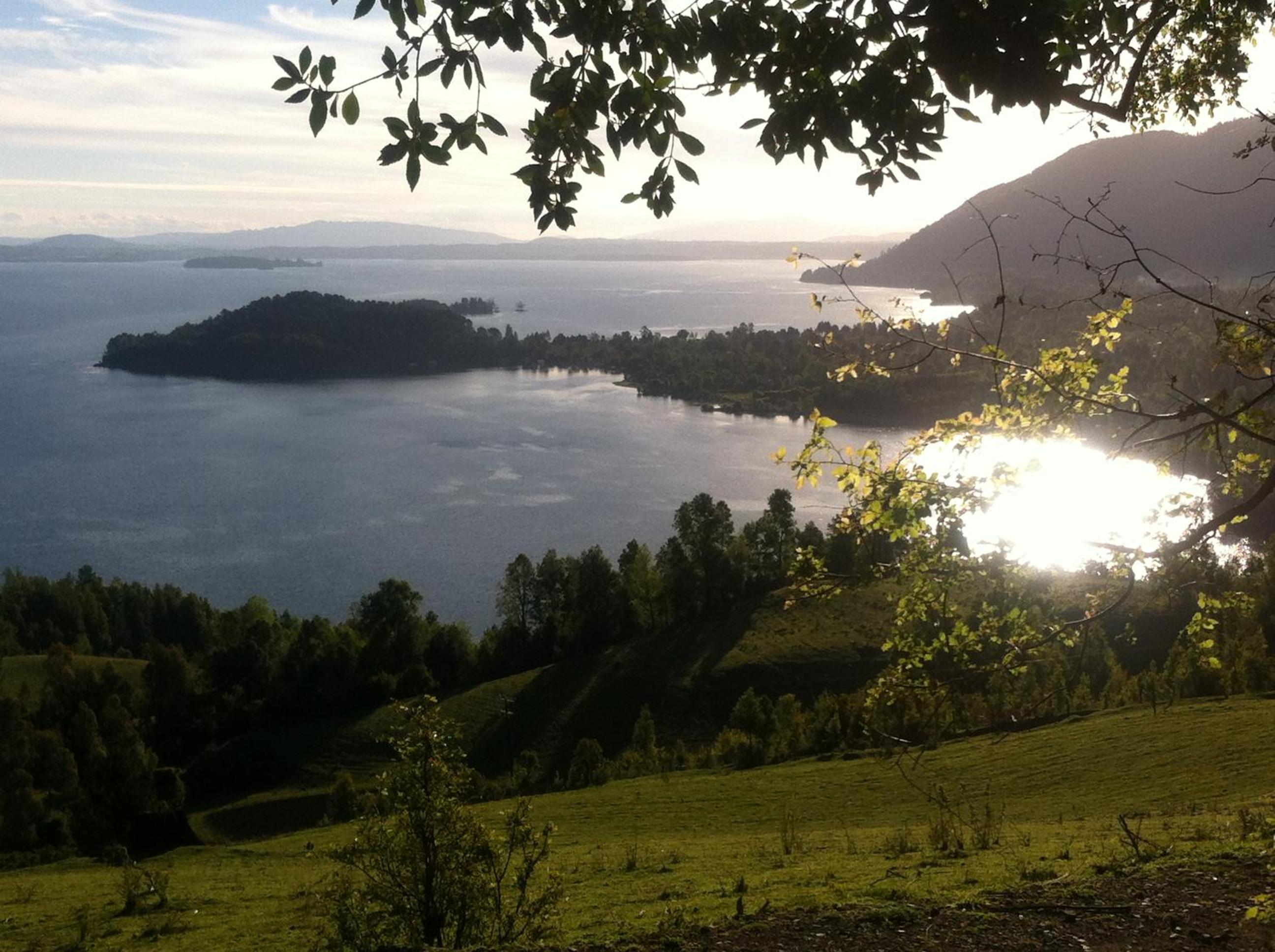 Lican Ray Chile